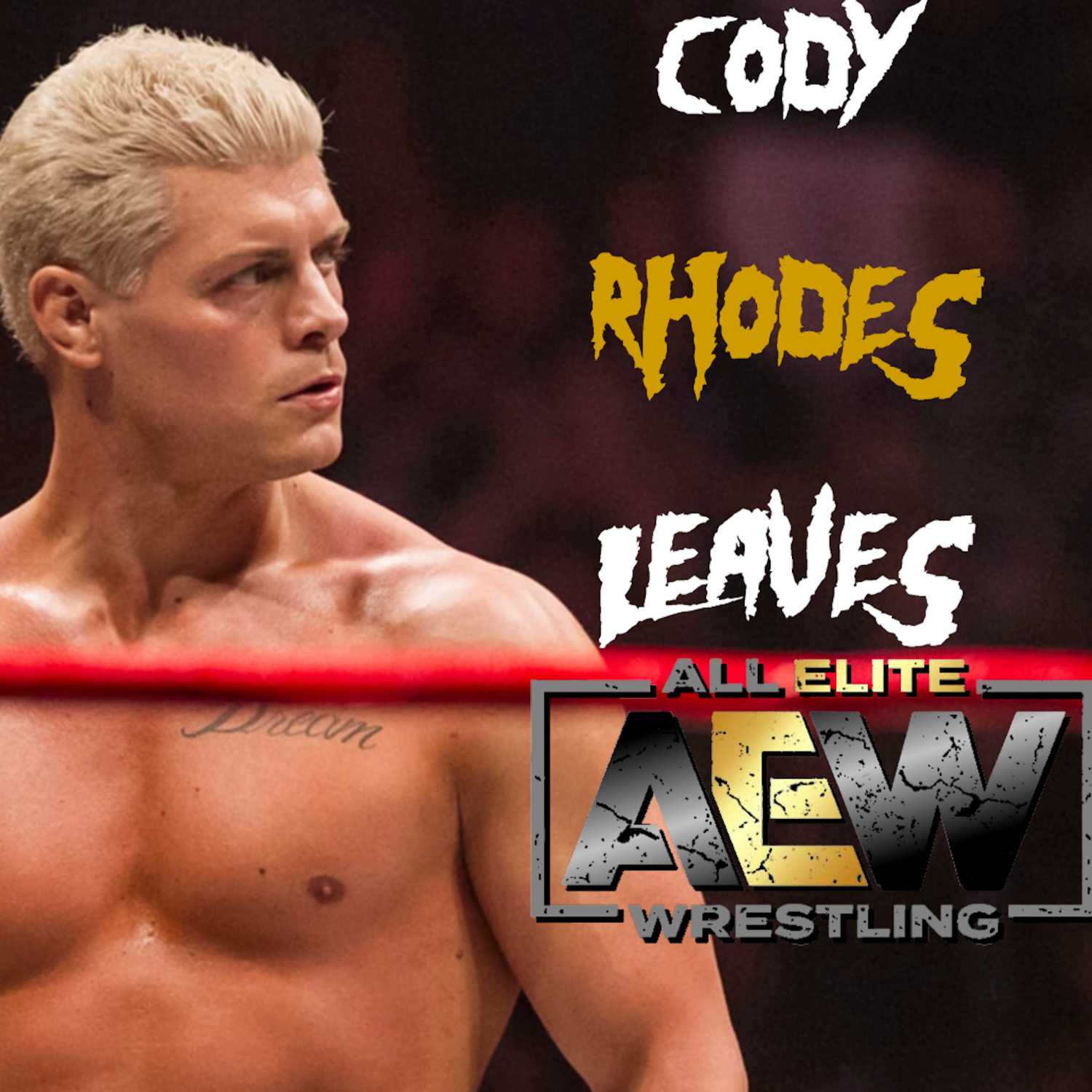 The Nitty Gritty Pro-Wrestling Show