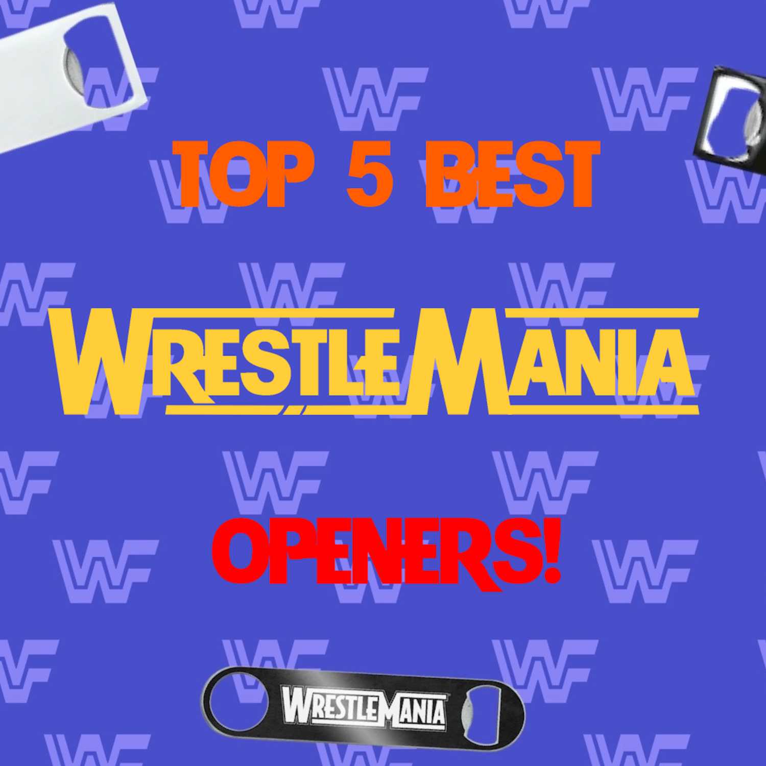 The Nitty Gritty Pro-Wrestling Show