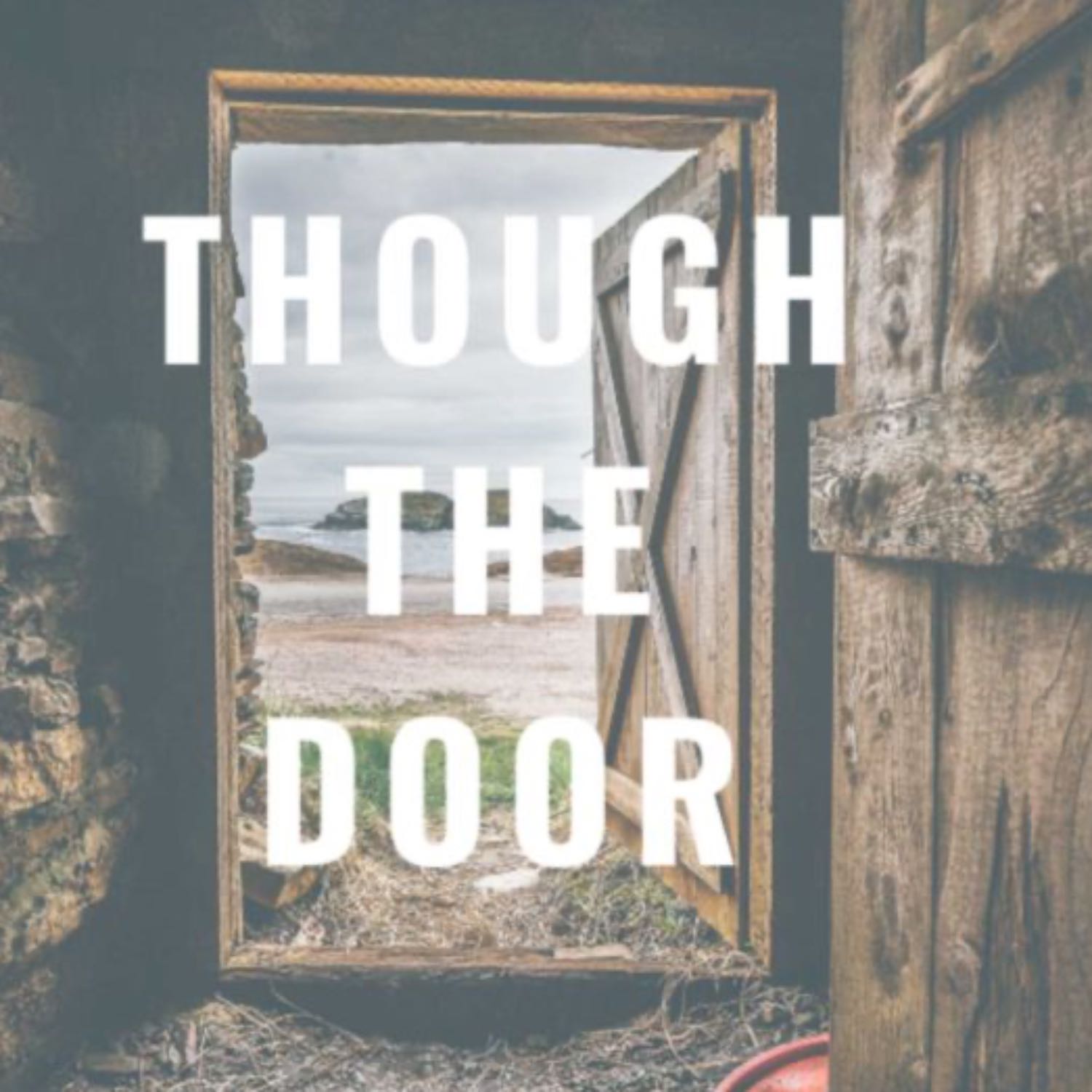 Through The Door