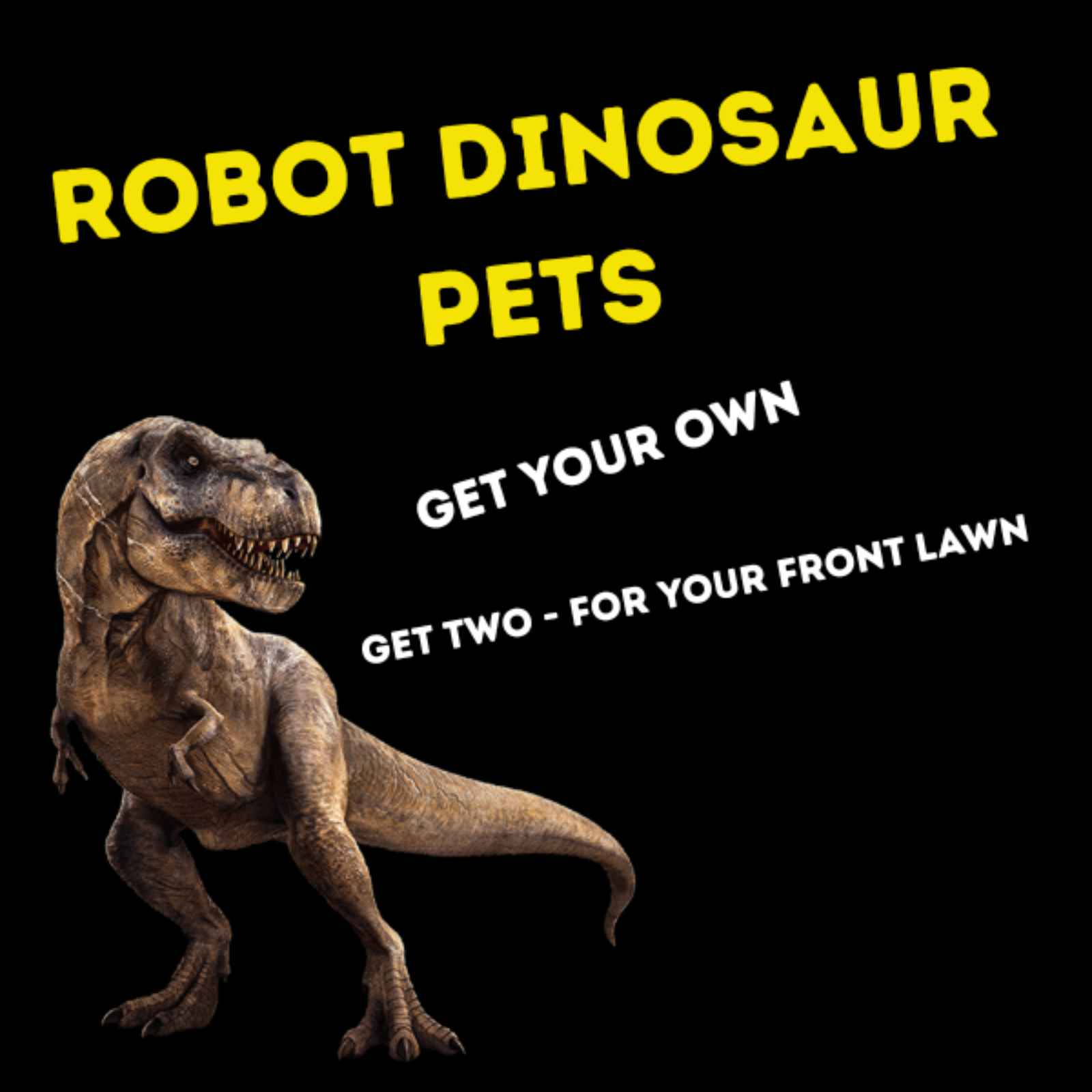 Daily sip with Marcel