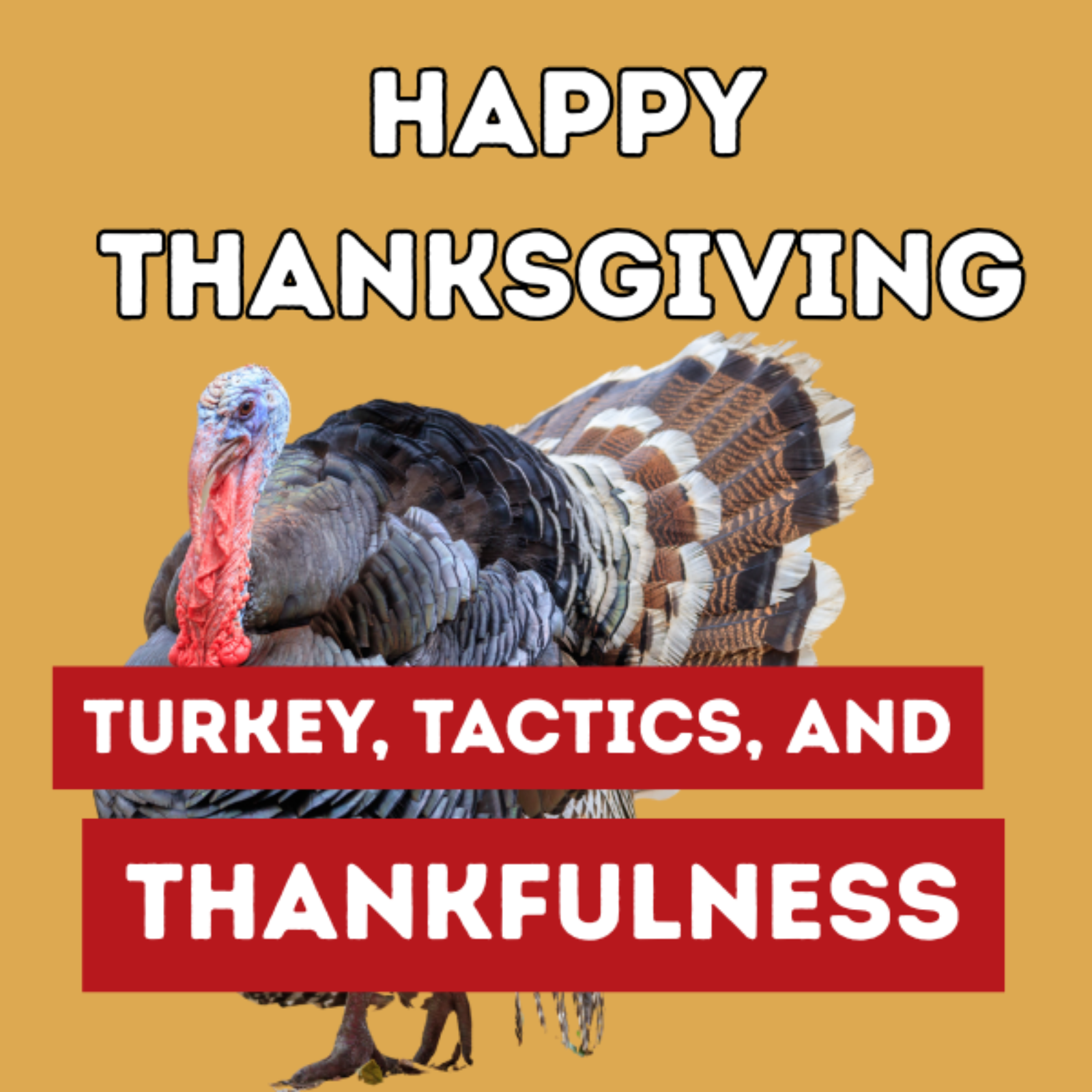 Daily sip with Marcel