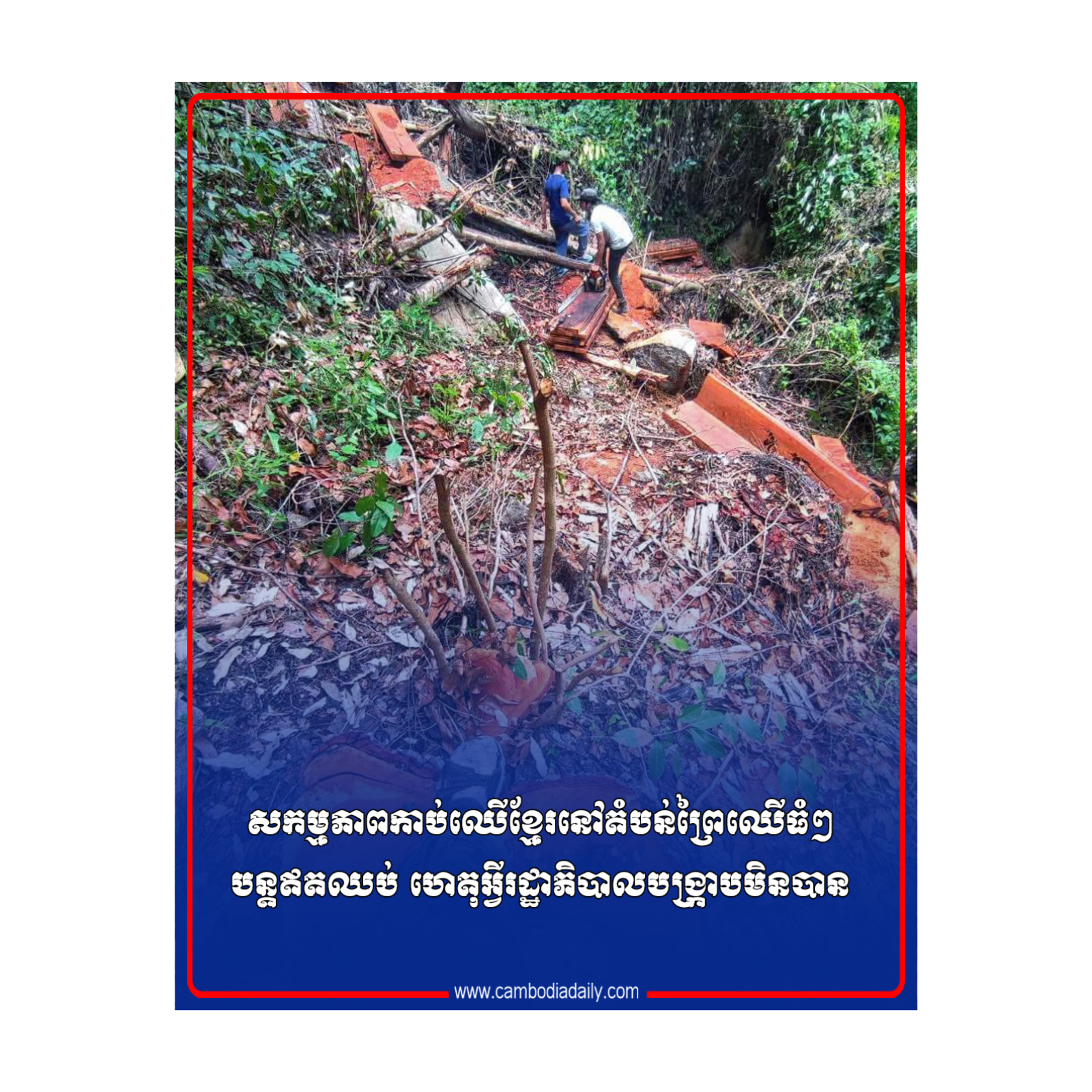 សកម្មភាពកាប់ឈើខ្មែរនៅតំបន់ព្រៃឈើធំៗ បន្តឥតឈប់ ហេតុអ្វីរដ្ឋាភិបាលបង្រ្កាបមិនបាន episode artwork
