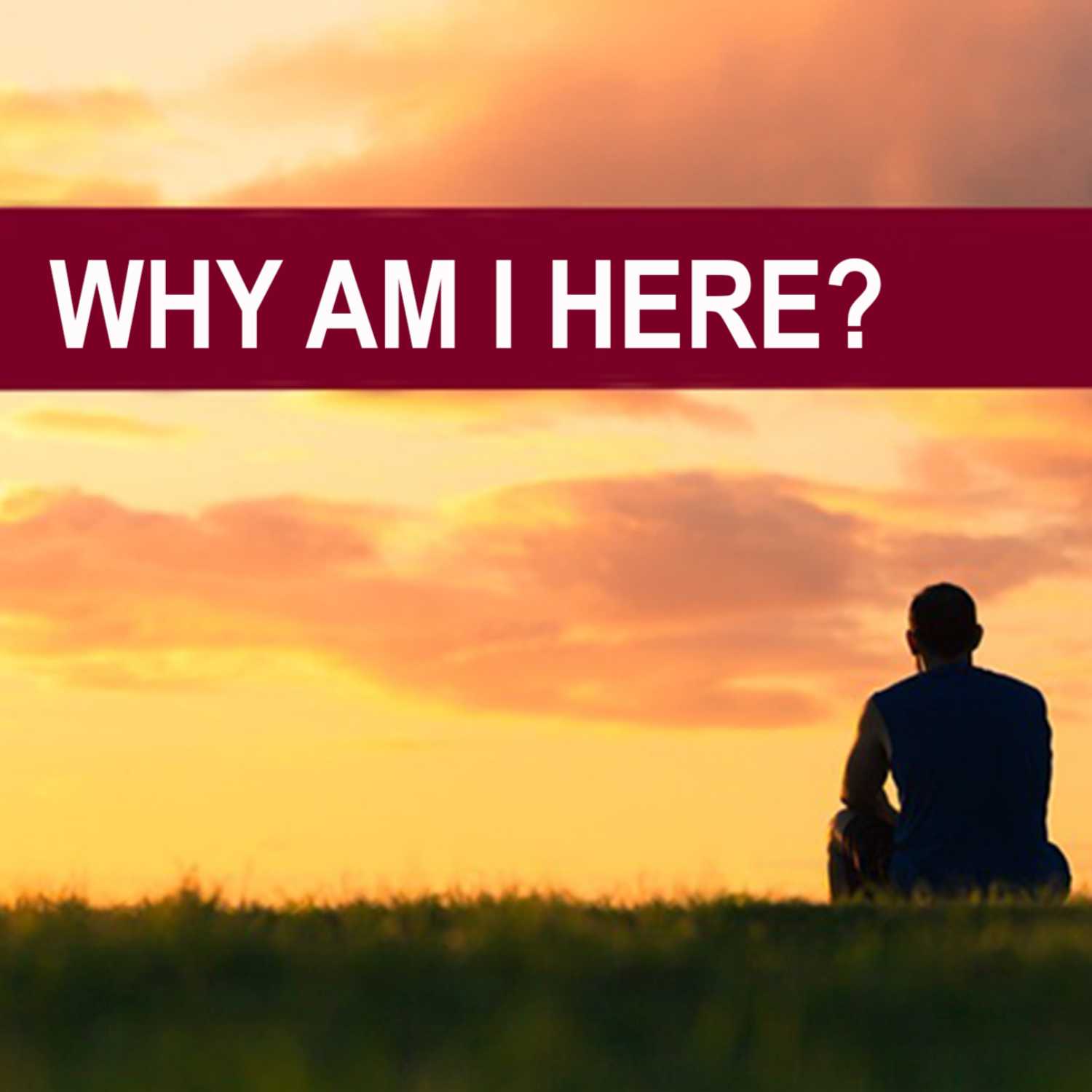 Why Am I Here? episode artwork