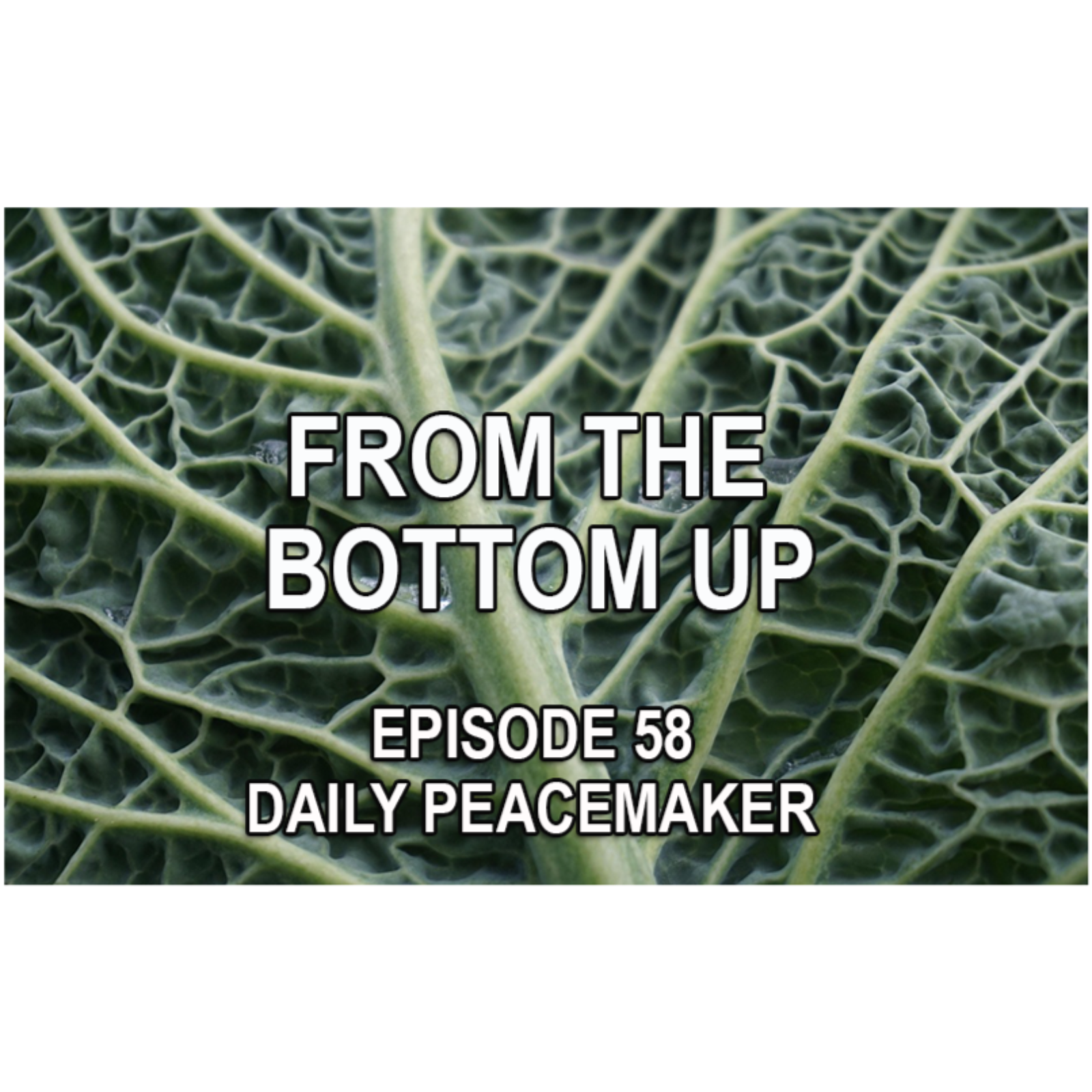 FROM THE BOTTOM UP episode artwork