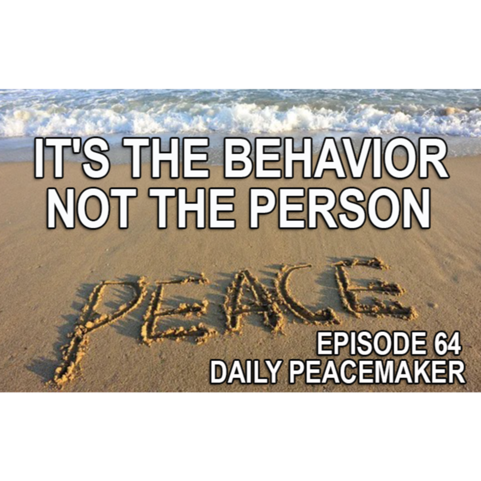 IT'S THE BEHAVIOR, NOT THE PERSON episode artwork