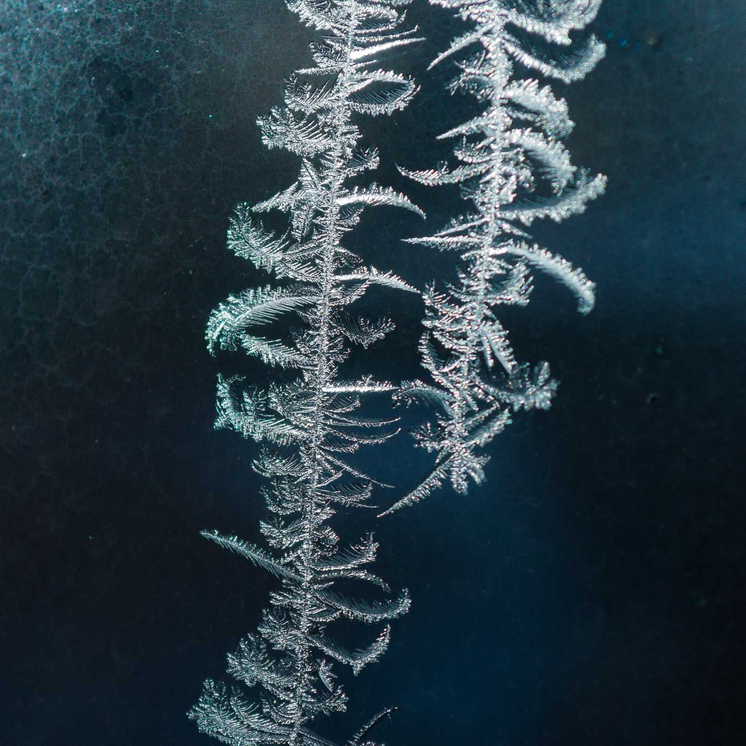 Words with Dakotah Lavender