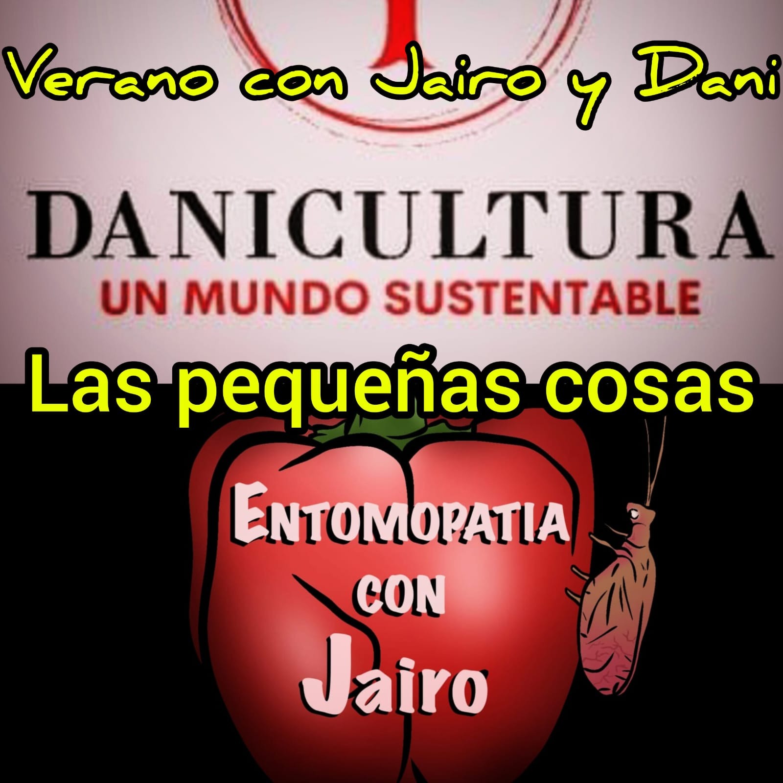 DaniCultura