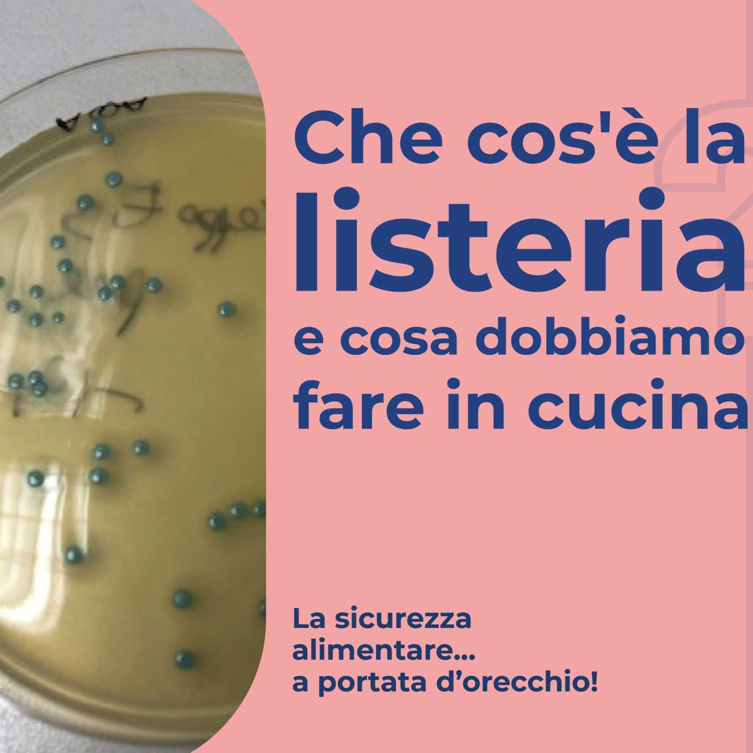 La sicurezza alimentare a portata d\'orecchio