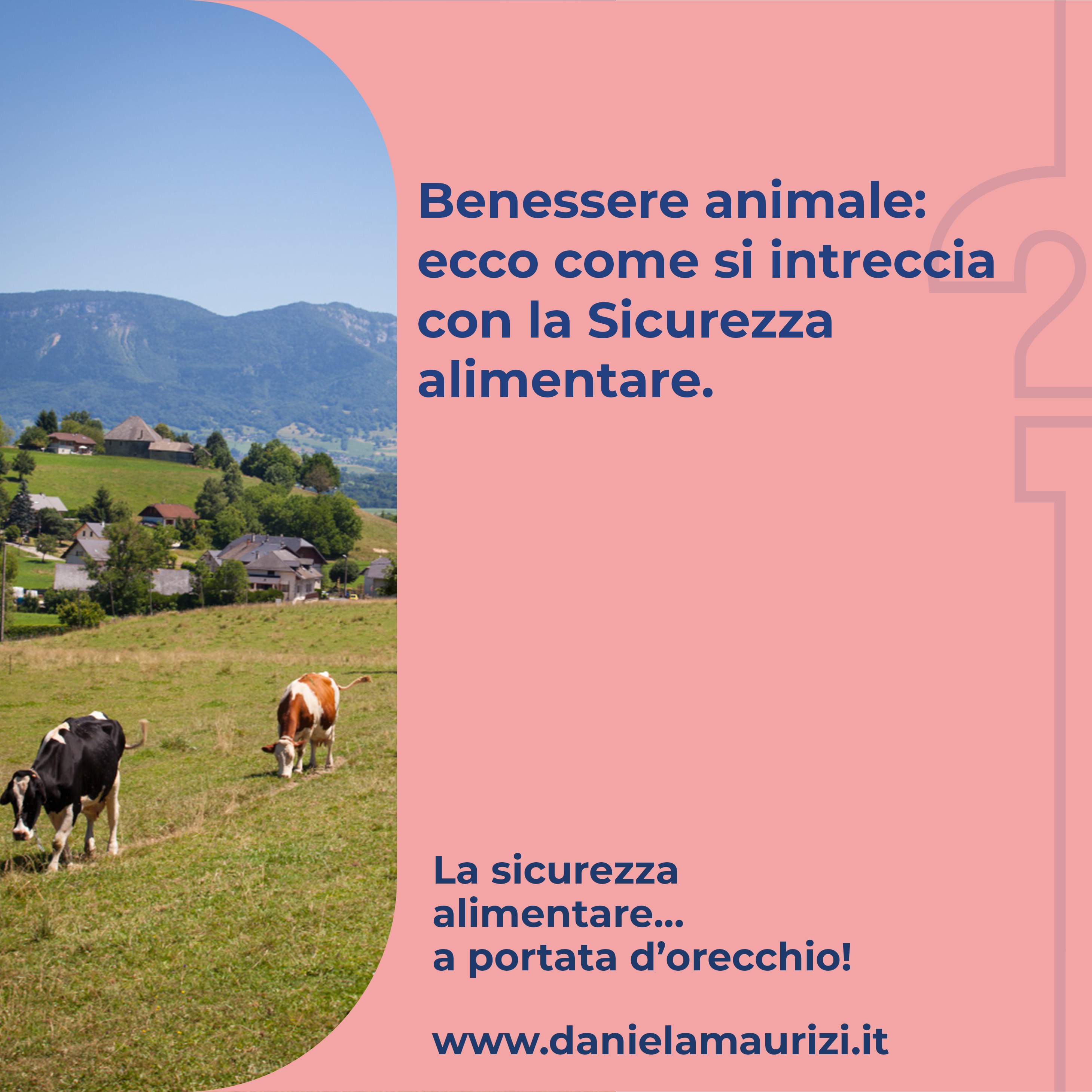 ST.3_ep.14 - Benessere animale: ecco come si intreccia con la Sicurezza alimentare 
