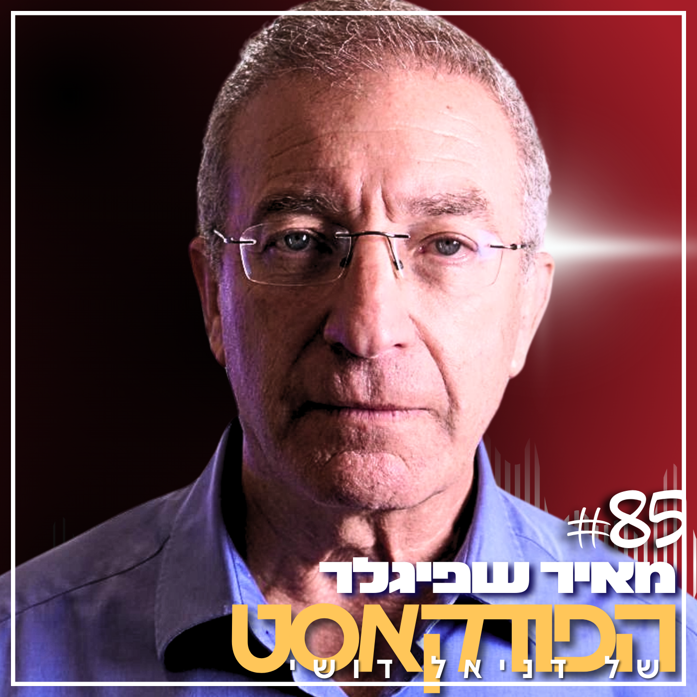 מאיר שפיגלר: מנכ״ל חברת חשמל 85#