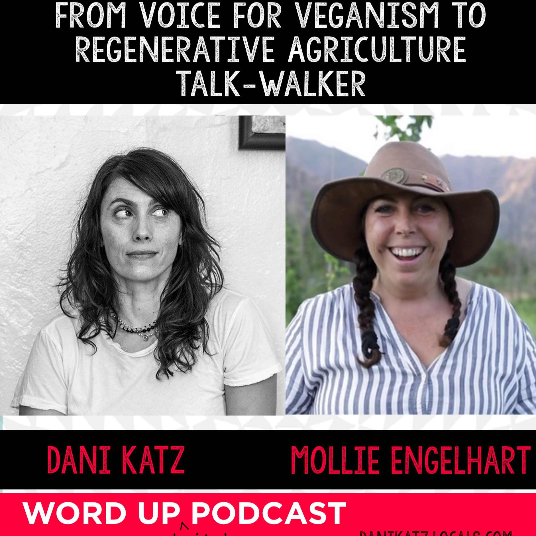 WORD UP with Dani Katz
