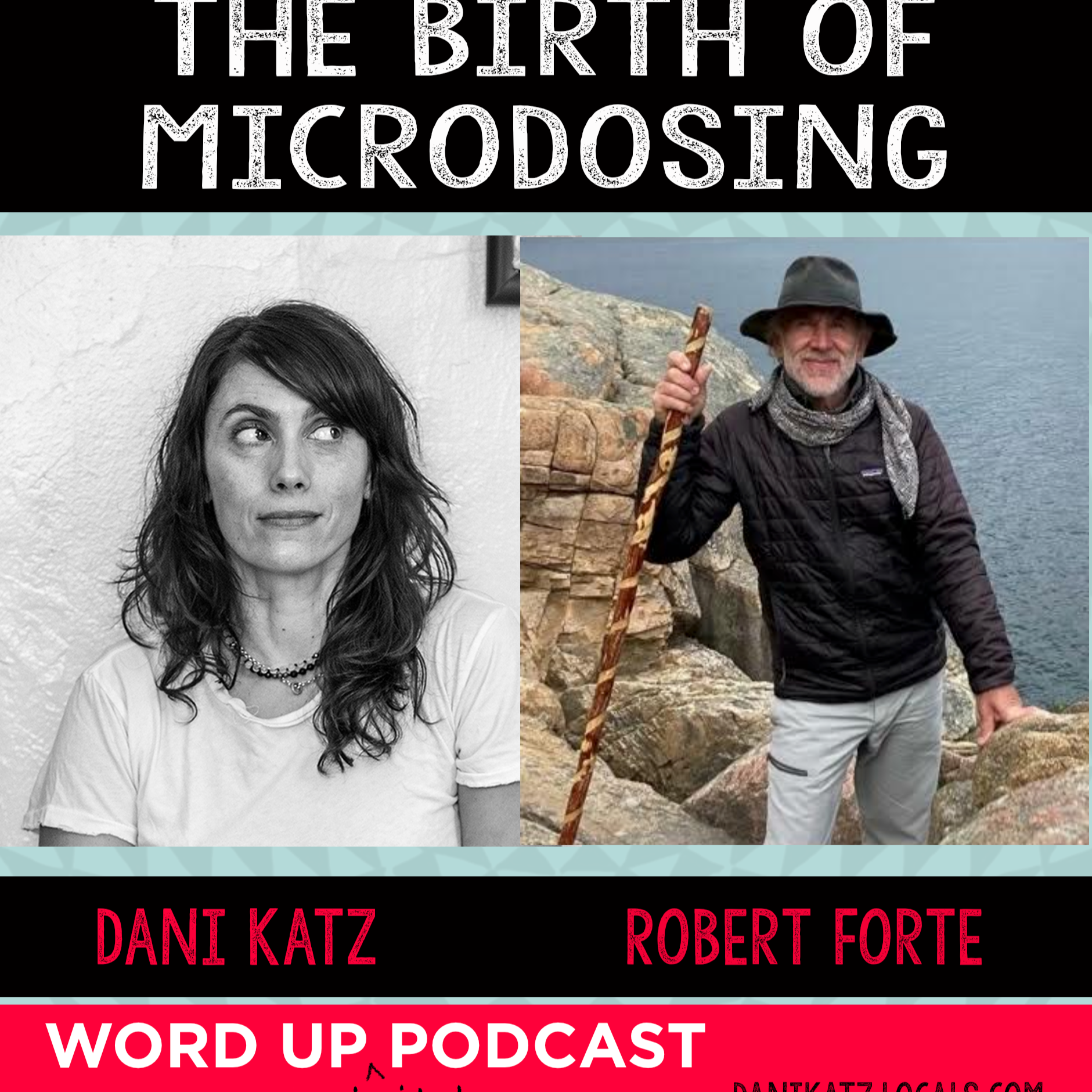 WORD UP with Dani Katz