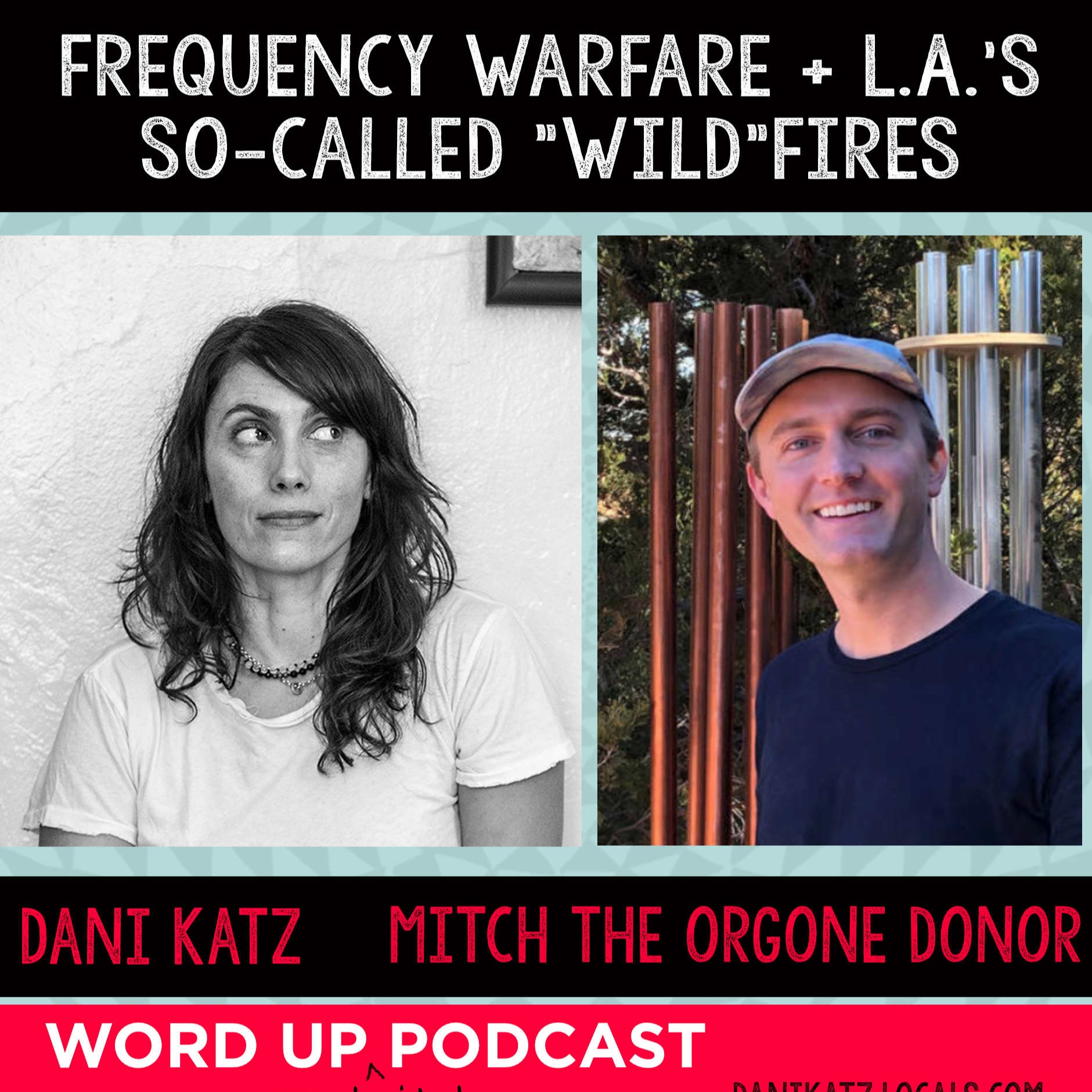 WORD UP with Dani Katz