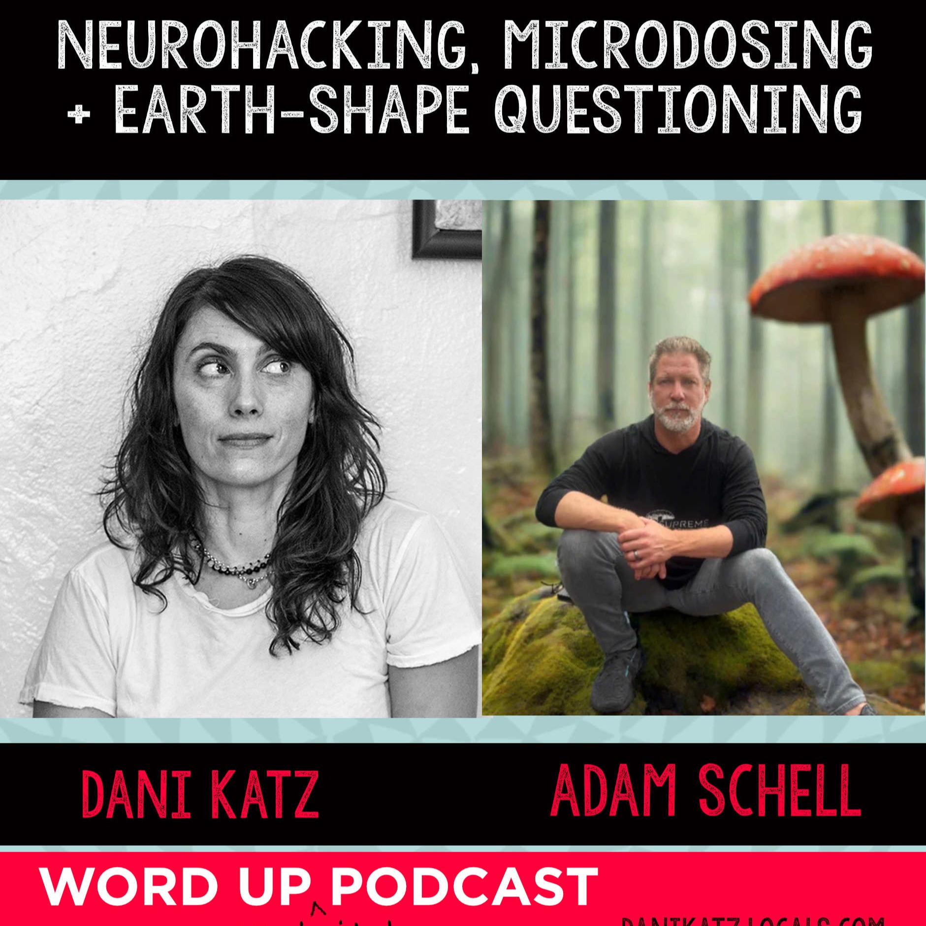 WORD UP with Dani Katz