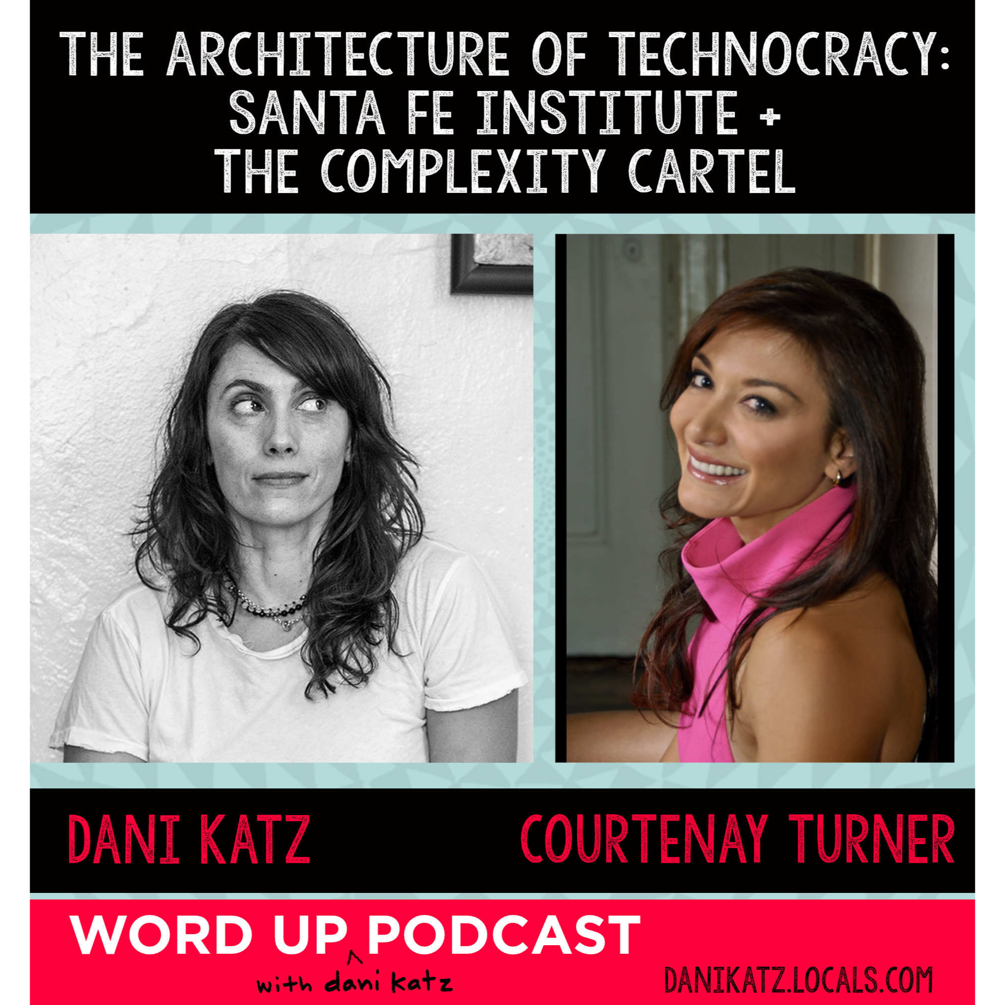 The Architecture of Technocracy: Santa Fe Institute and the Complexity Cartel with Courtenay Turner episode artwork