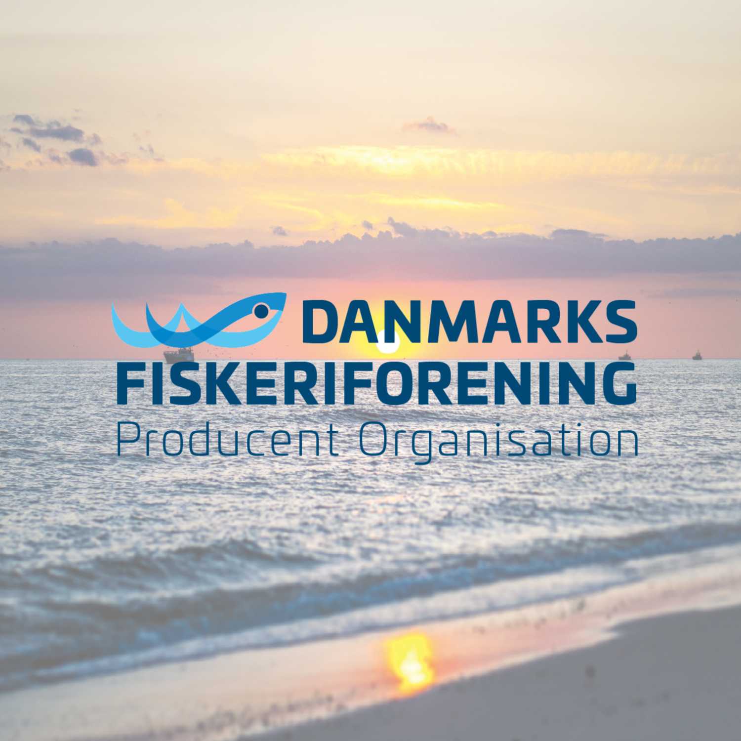 Danmarks Fiskeriforenings generalforsamling 2021 - Beretning cover art