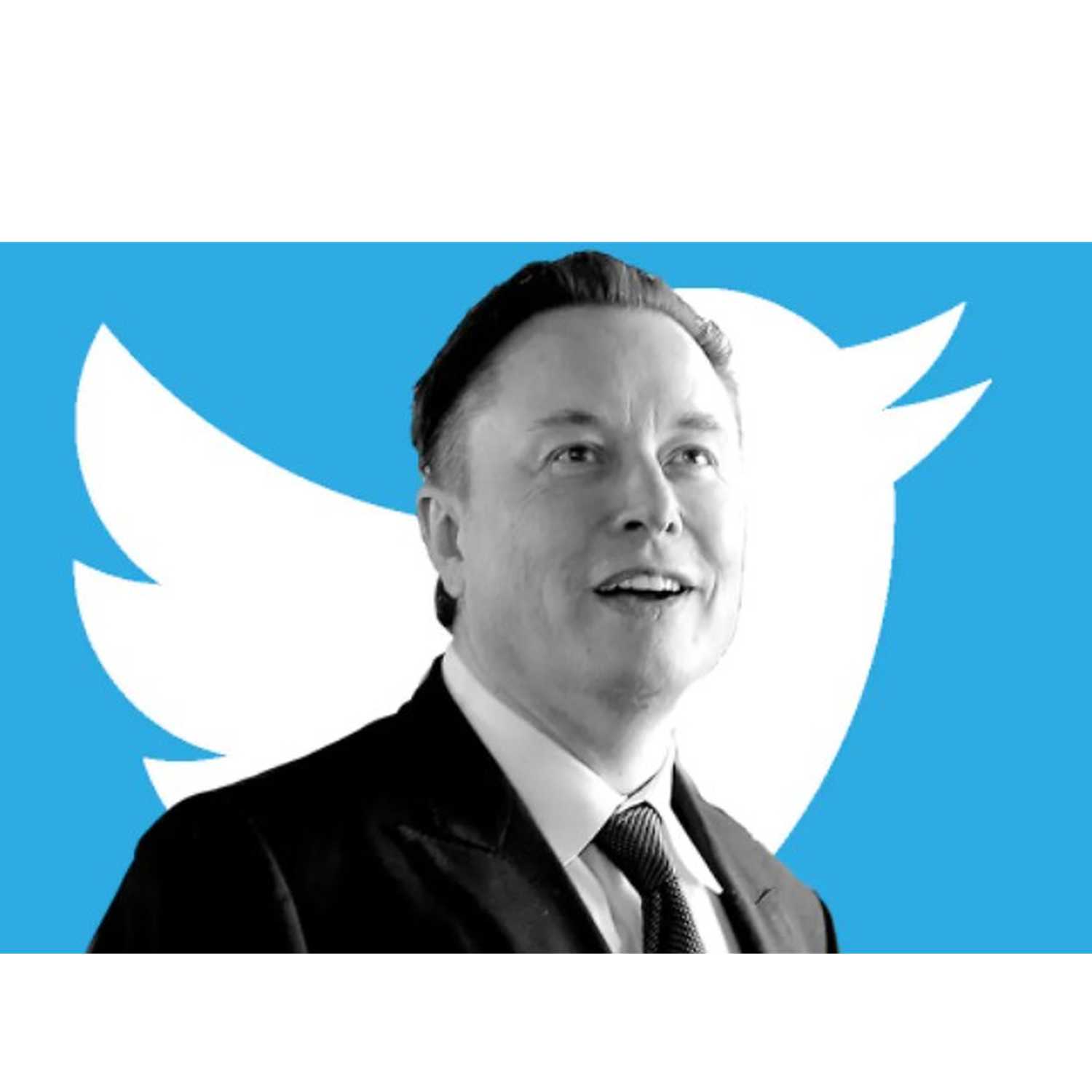 Pitch #63: Elon Takes Twitter