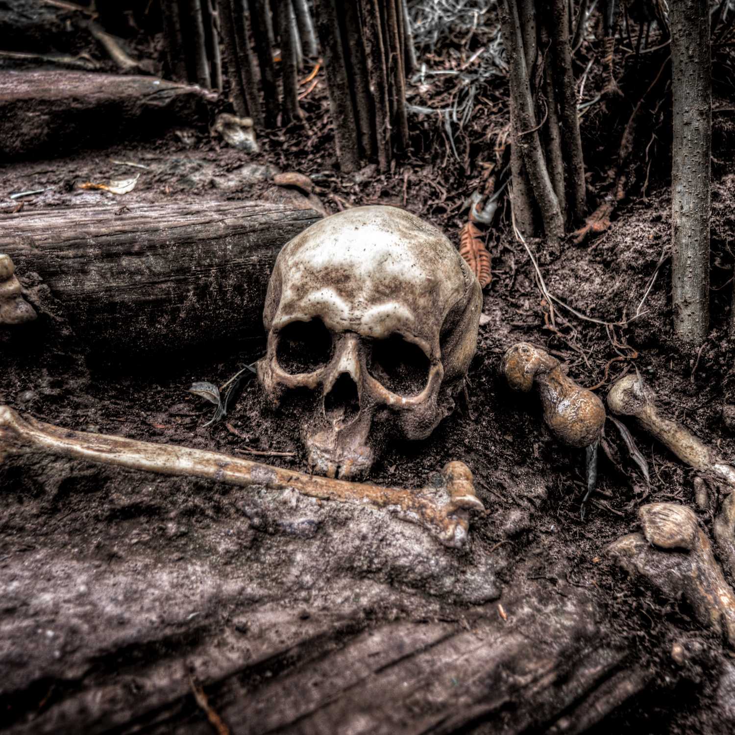National Park Horror - Volume One - In Yosemite, No One Can Hear You Scream