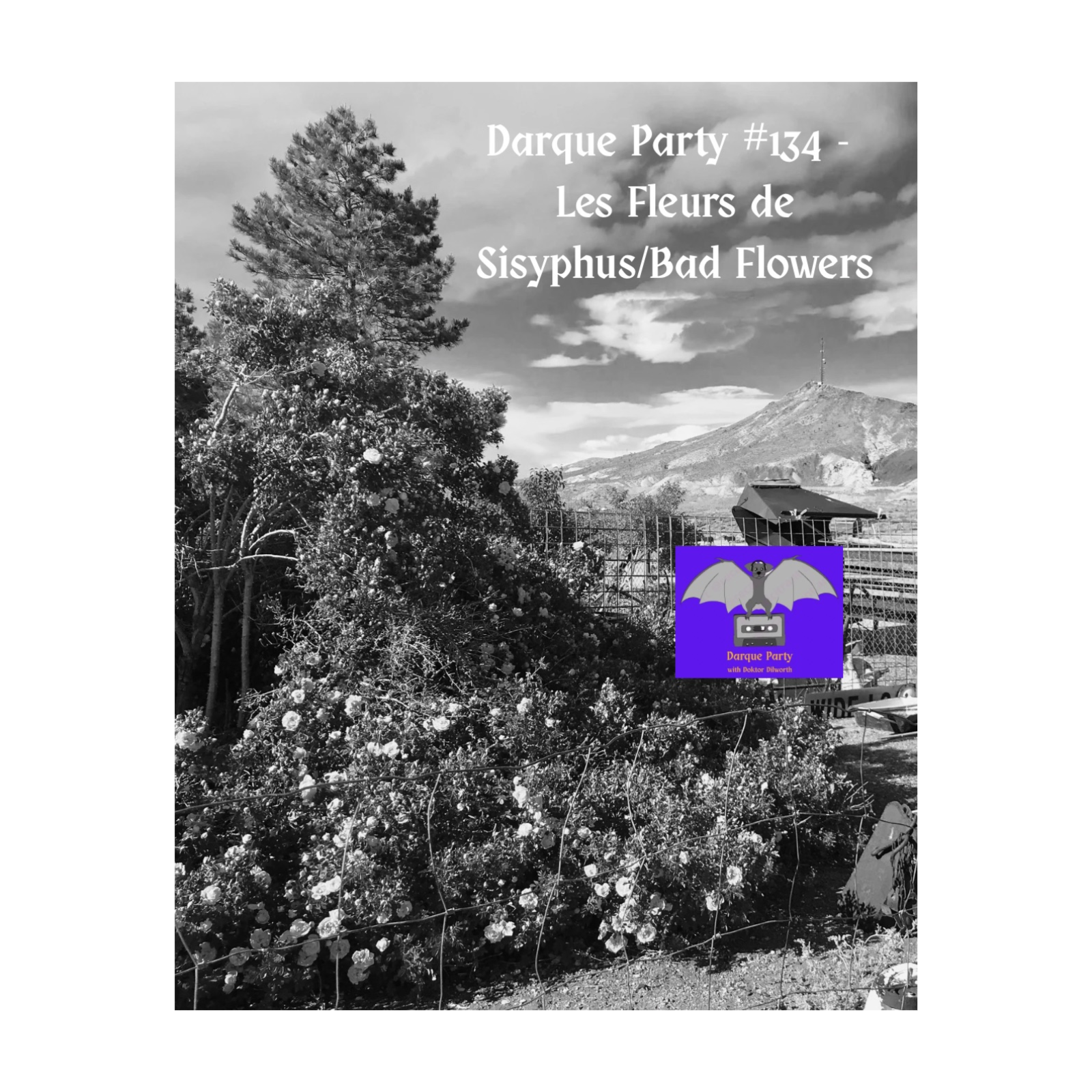Darque Party #134 11-20-2025 - Les Fleurs de Sisyphus/Bad Flowers episode artwork