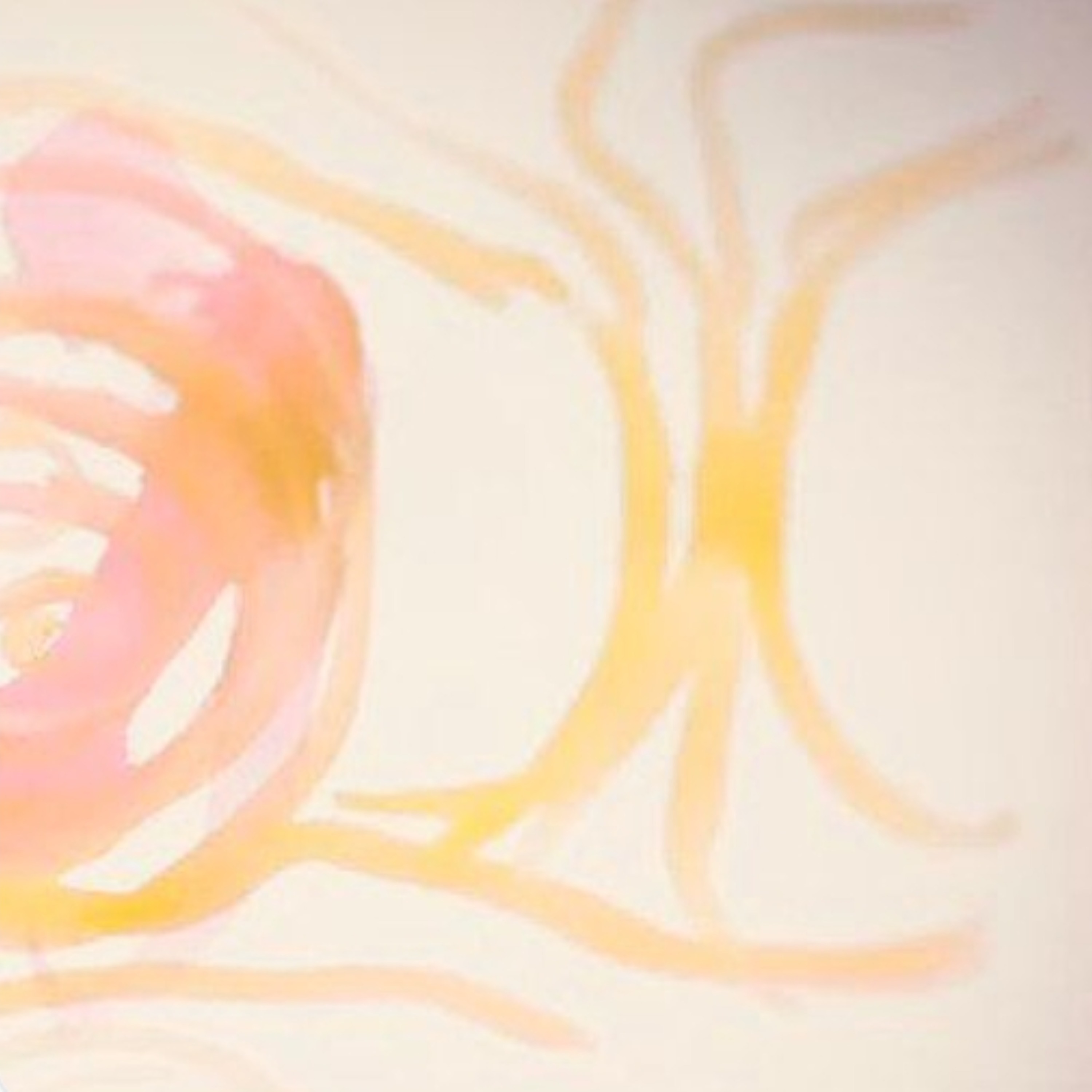 Schamanin des Lichts,der Erde podcast artwork