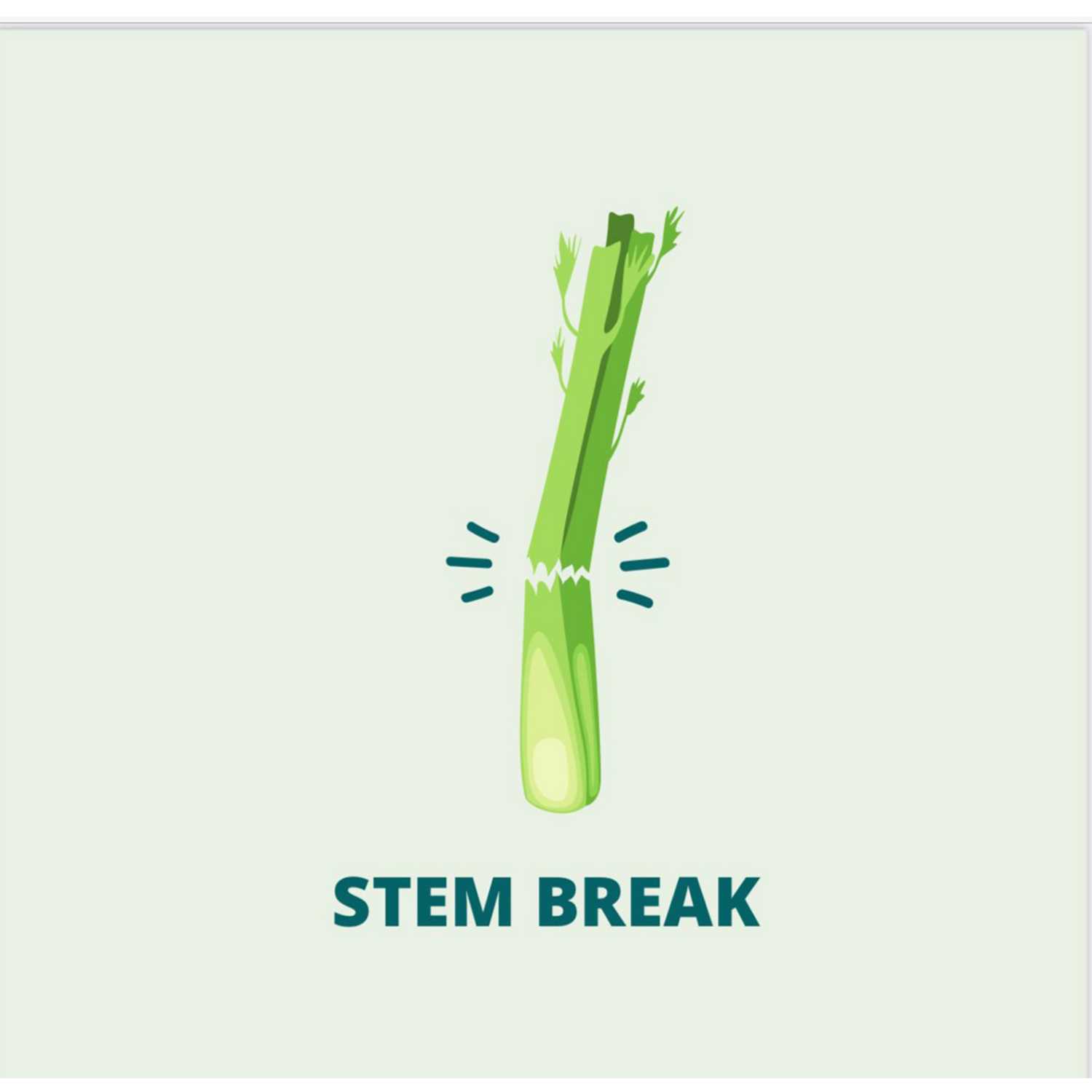 Doral Academy STEM Break
