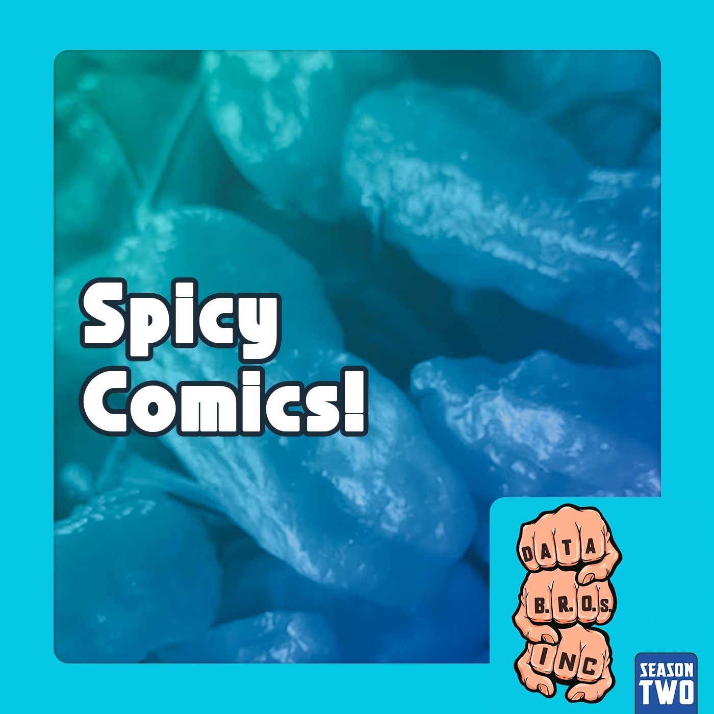 Spicy Comics, how to identify, rack and sell adult material in a Comic Shop