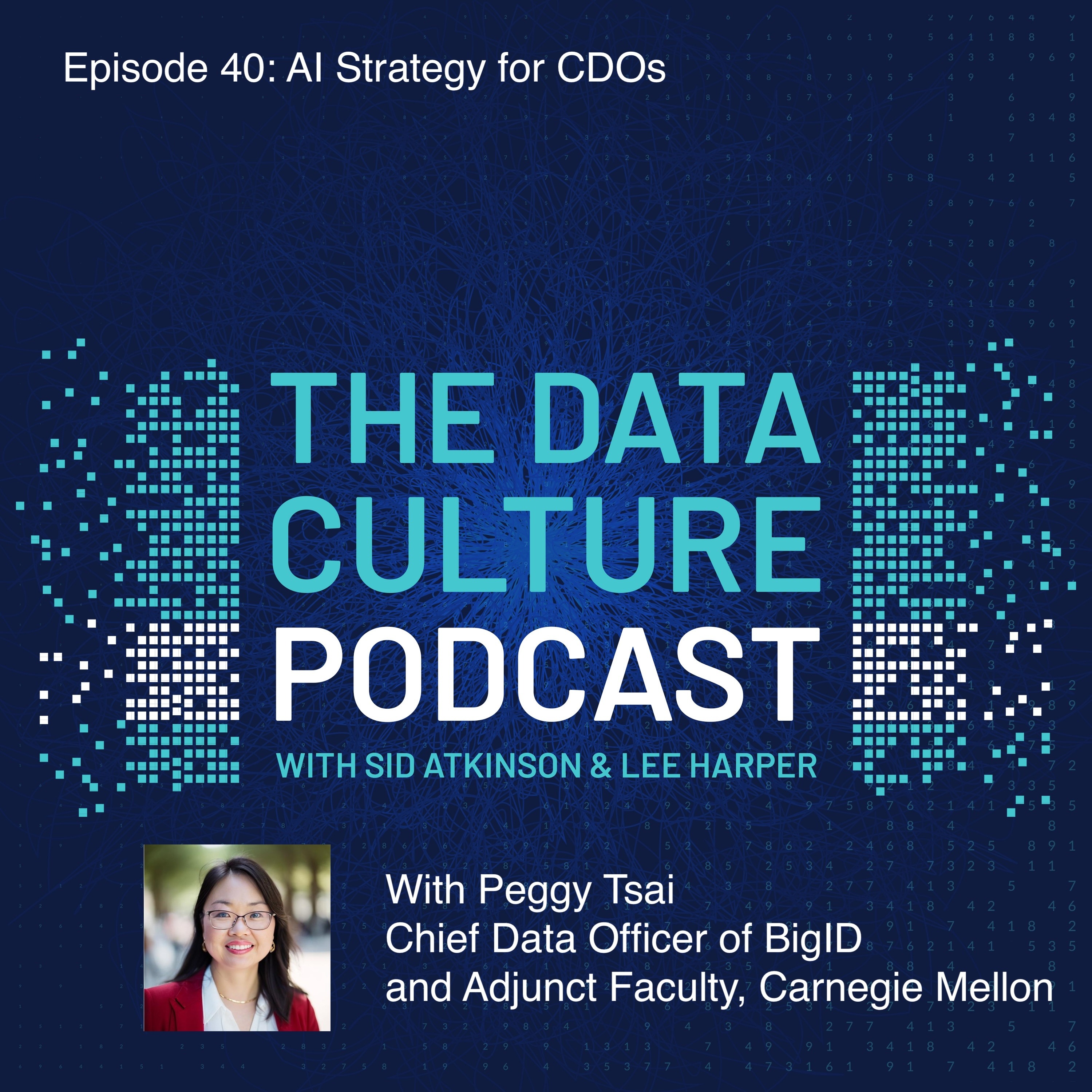 The Data Culture Podcast