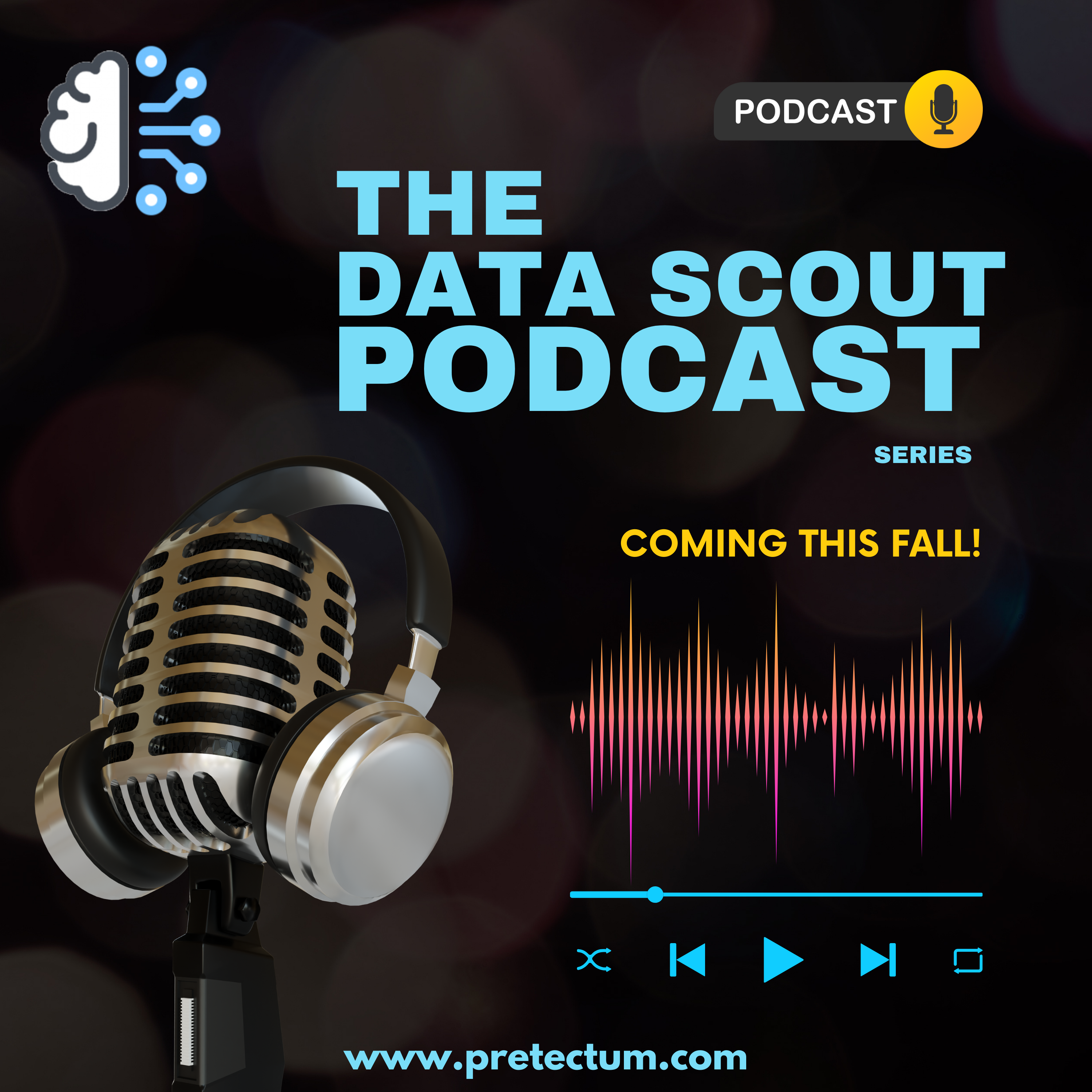 The Data Scout Podcast Series