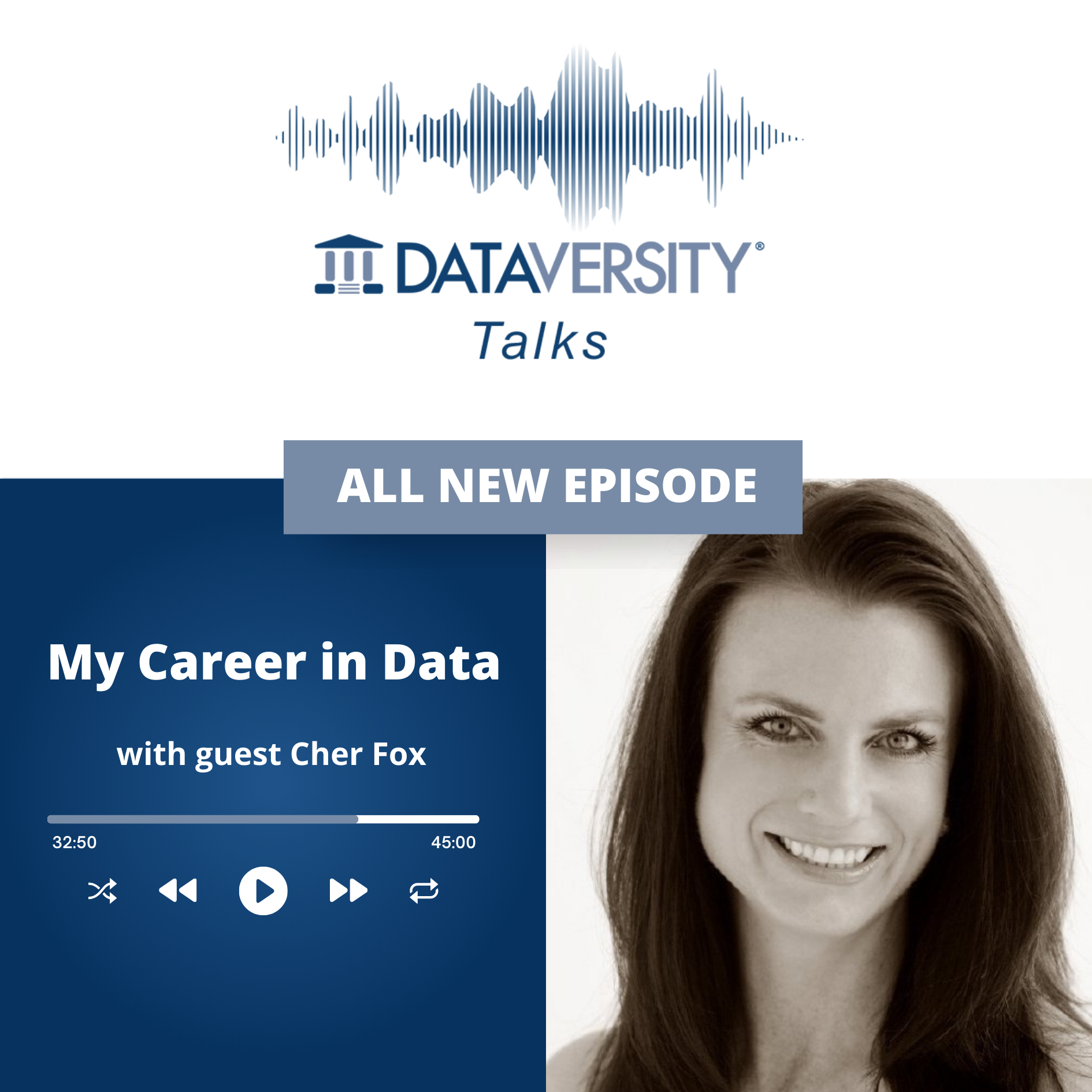 My Career in Data Season 2 Episode 24: Cher Fox, President, Fox Consulting