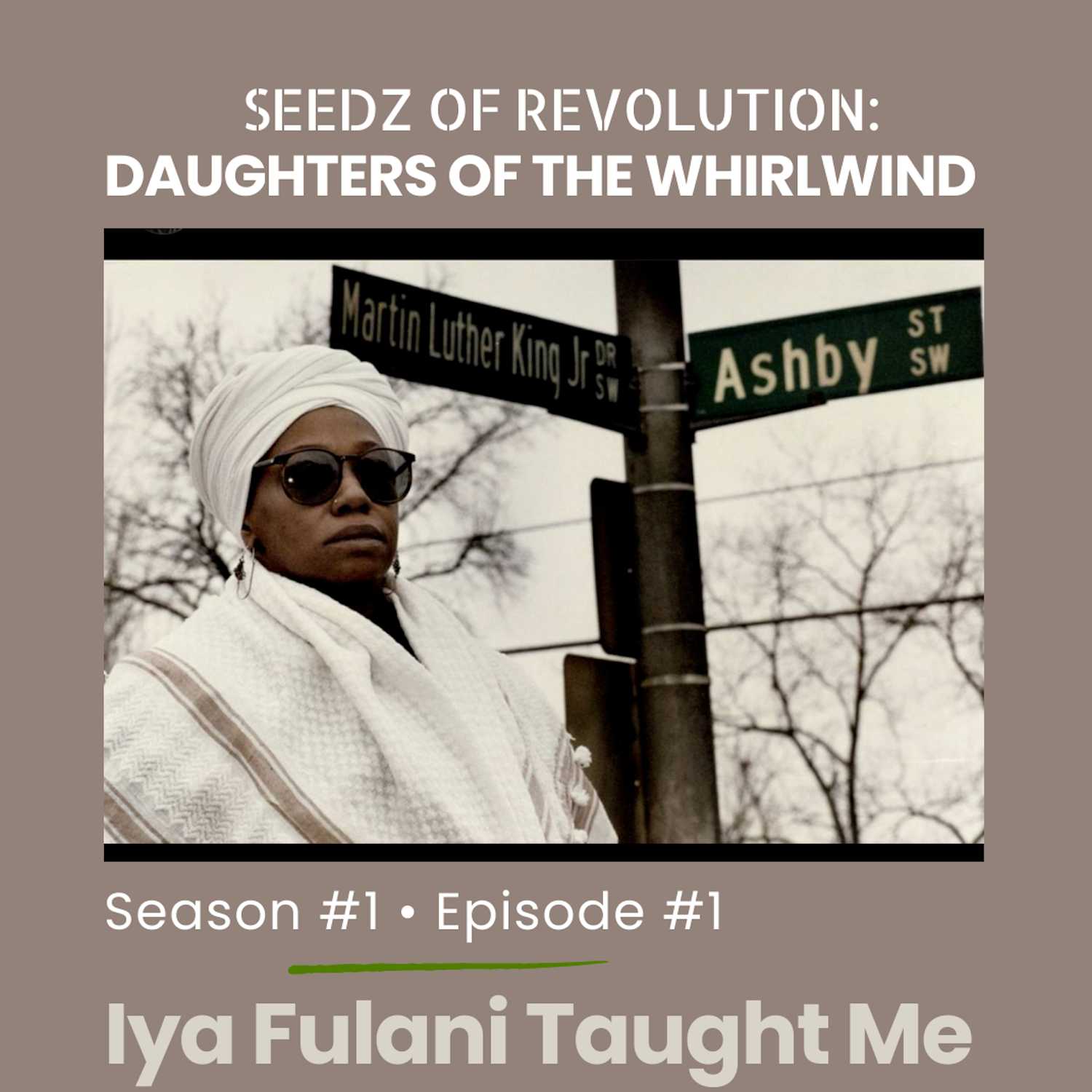 Seedz of Revolution: Daughters of the Whirlwind
