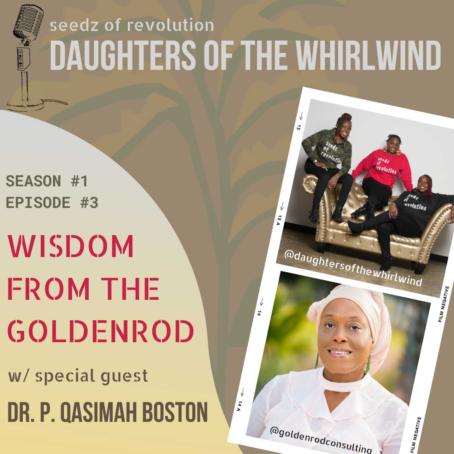 Seedz of Revolution: Daughters of the Whirlwind