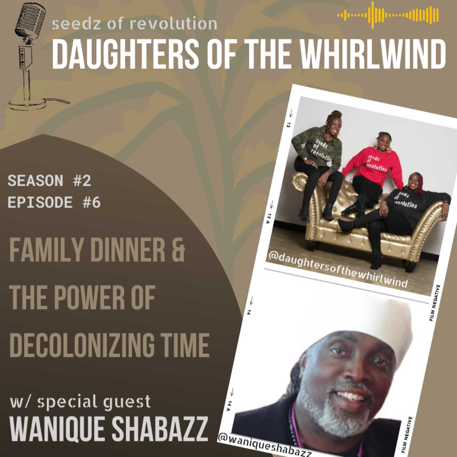 Seedz of Revolution: Daughters of the Whirlwind