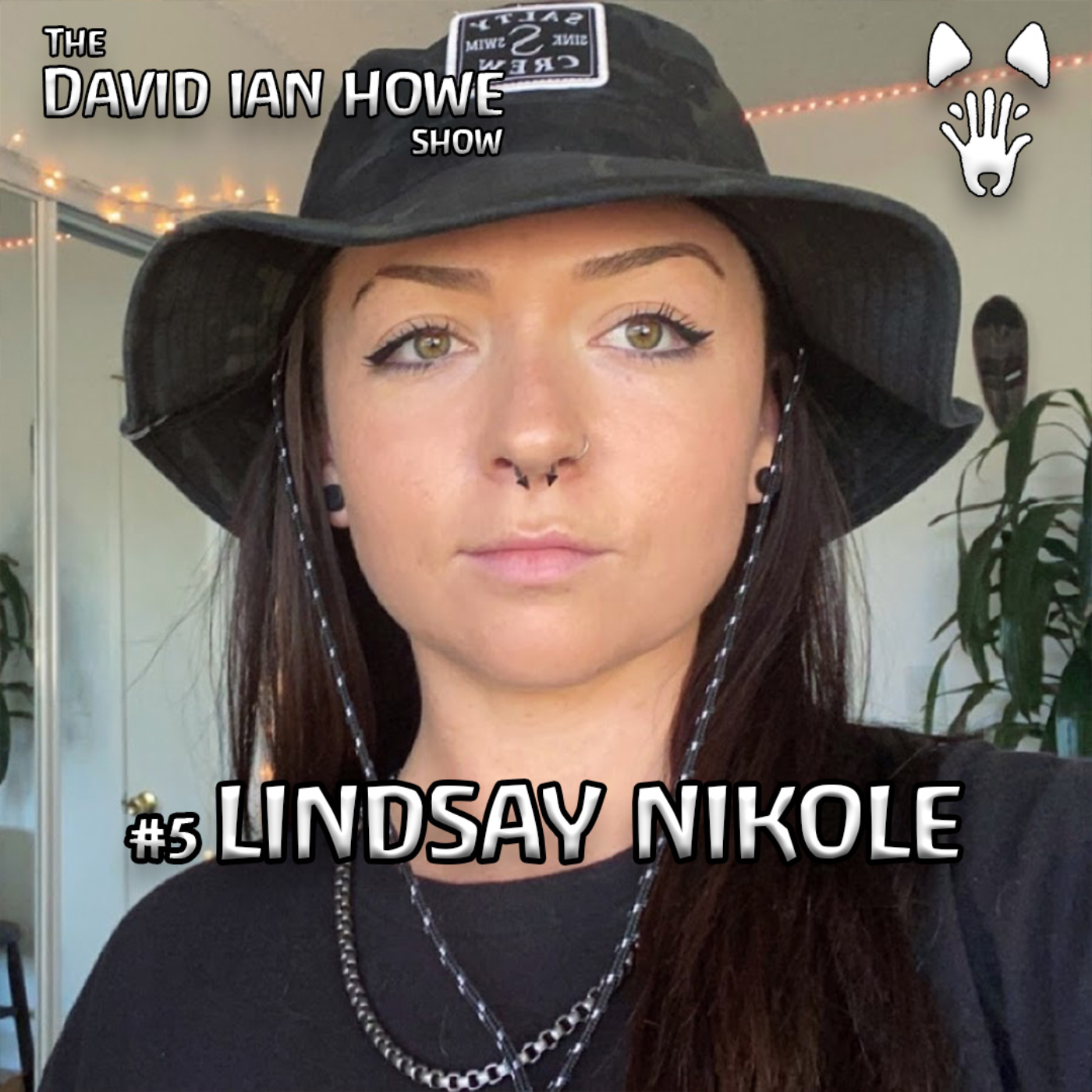 The David Ian Howe Show