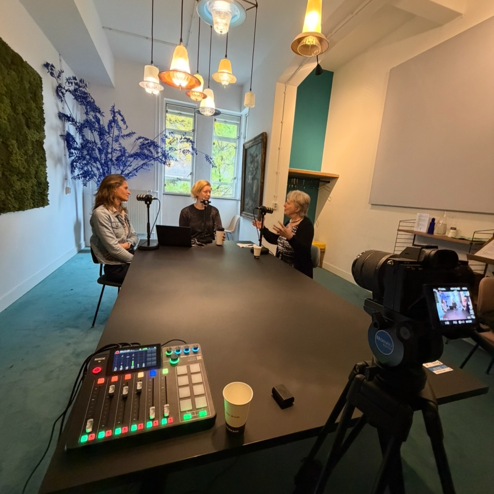 De Duurzaamheidstransitie