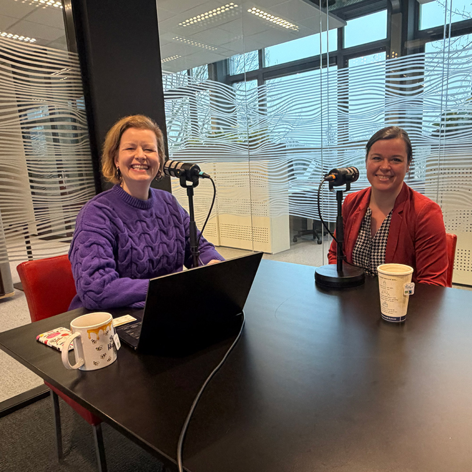 De Duurzaamheidstransitie