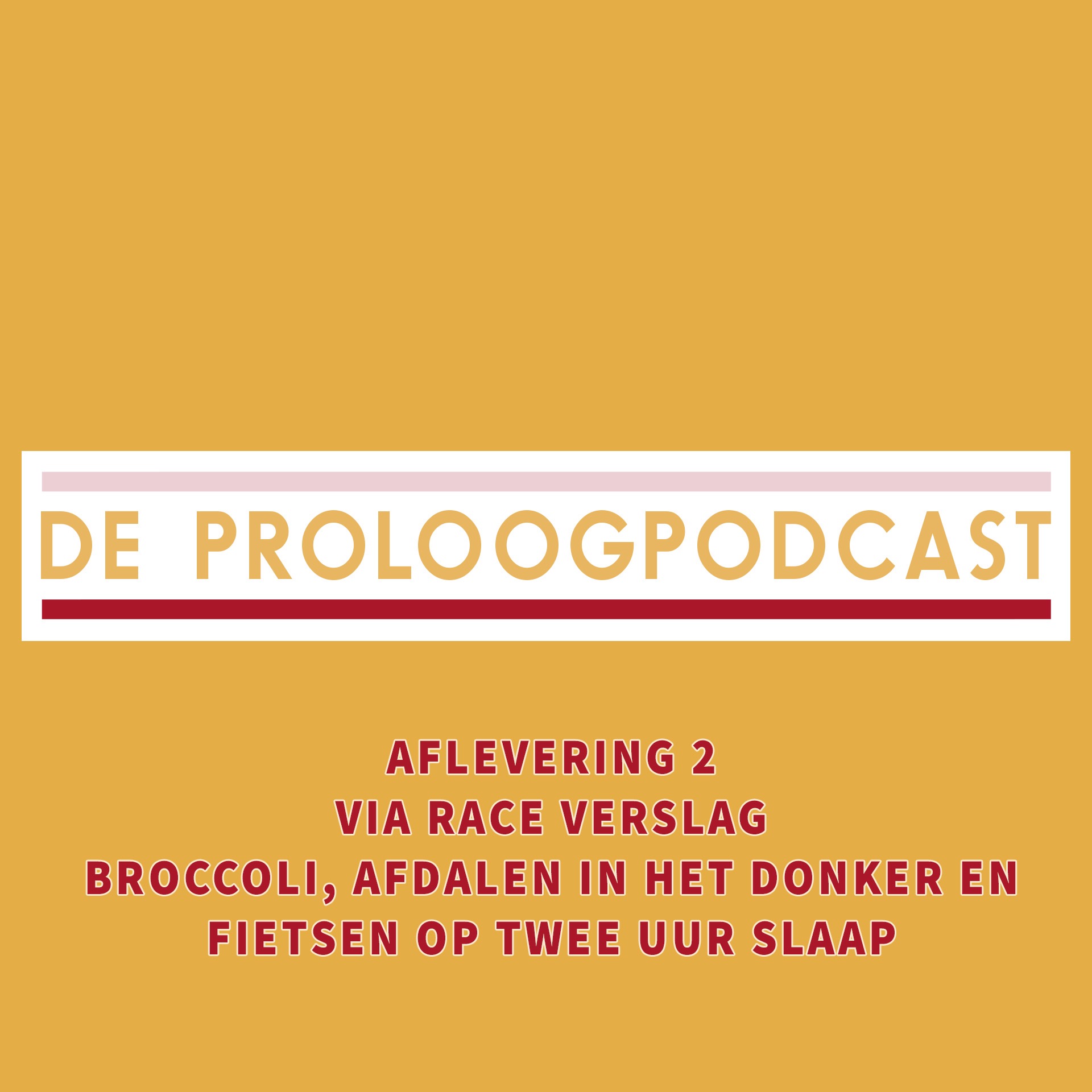 #2 - Broccoli, afdalen in het donker en fietsen op twee uur slaap - verslag VIA Race Chapter II met Gert-Jan Schilder en Jaïr Hoogland episode artwork