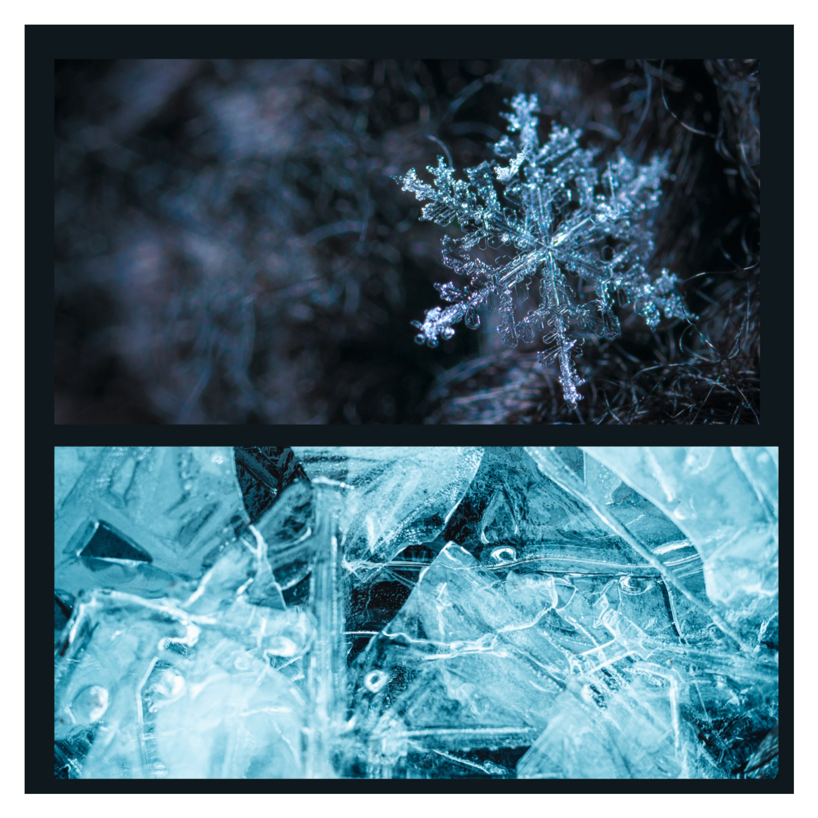 Cold as Antifreeze: Stacey Castor’s Twisted Crimes