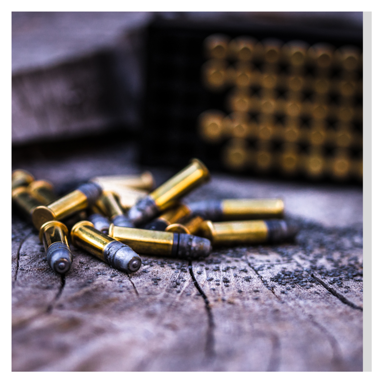 Obsession, Betrayal & Bullets: The Amy Fisher Scandal