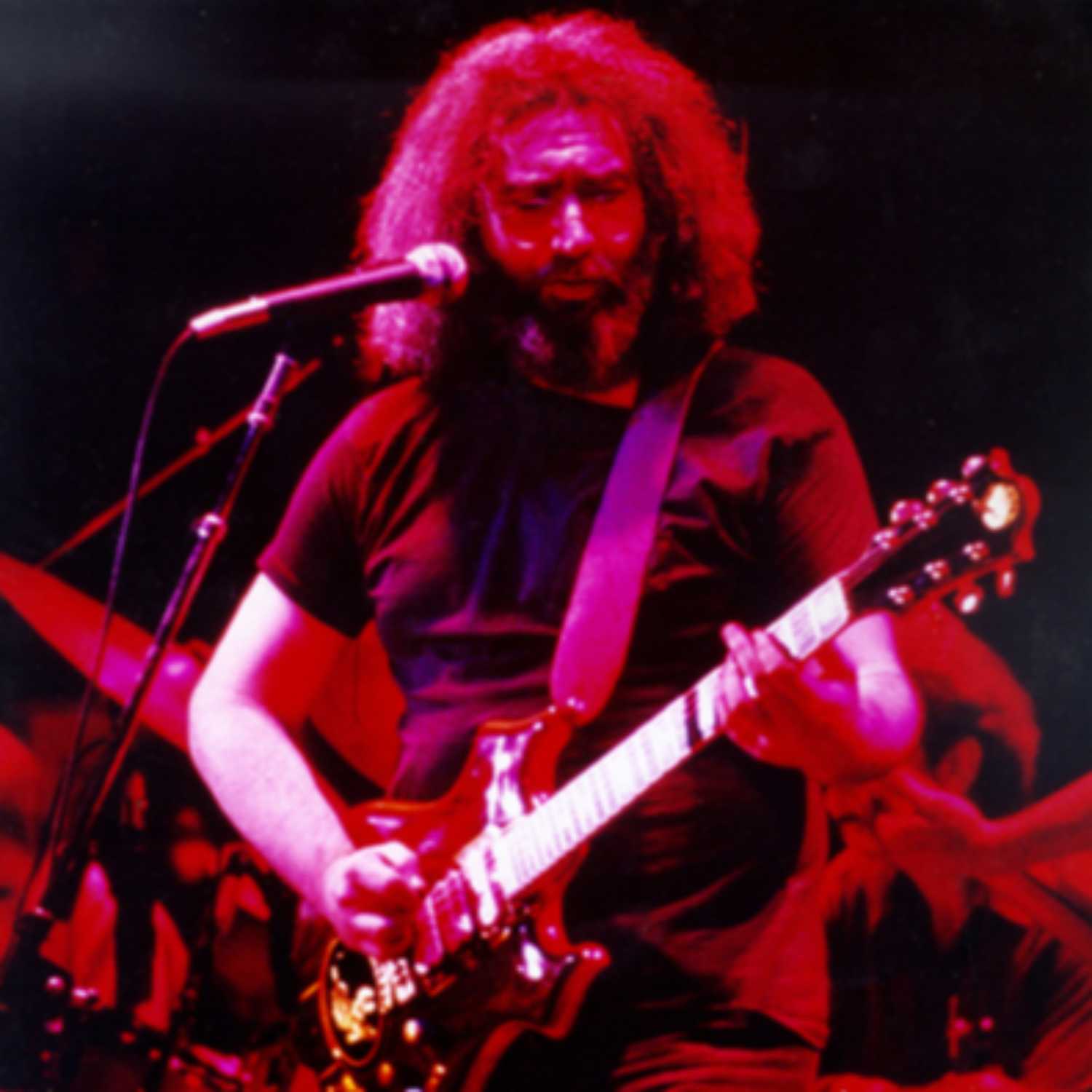 Jerry Garcia Band and the Dead: Stabler Arena 1981 