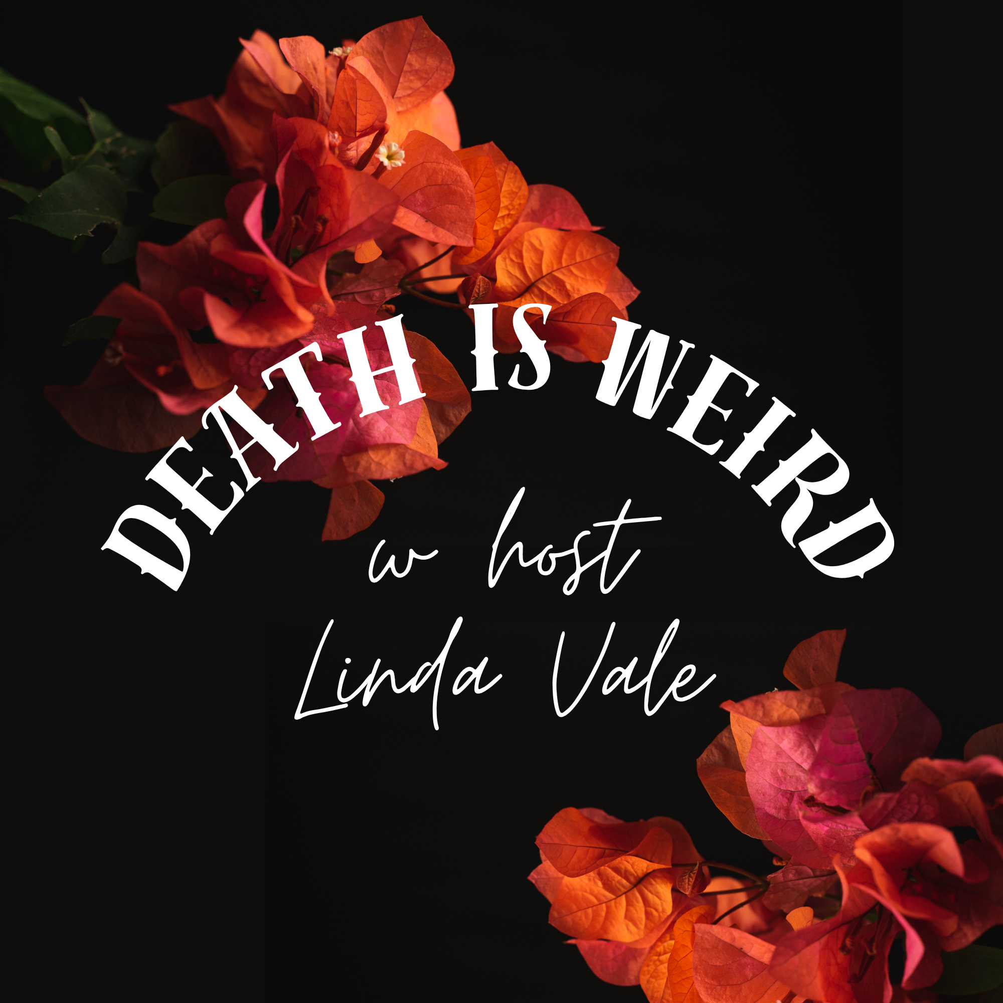 Understanding Hospice w/ Guest Jacqui Marcou episode artwork