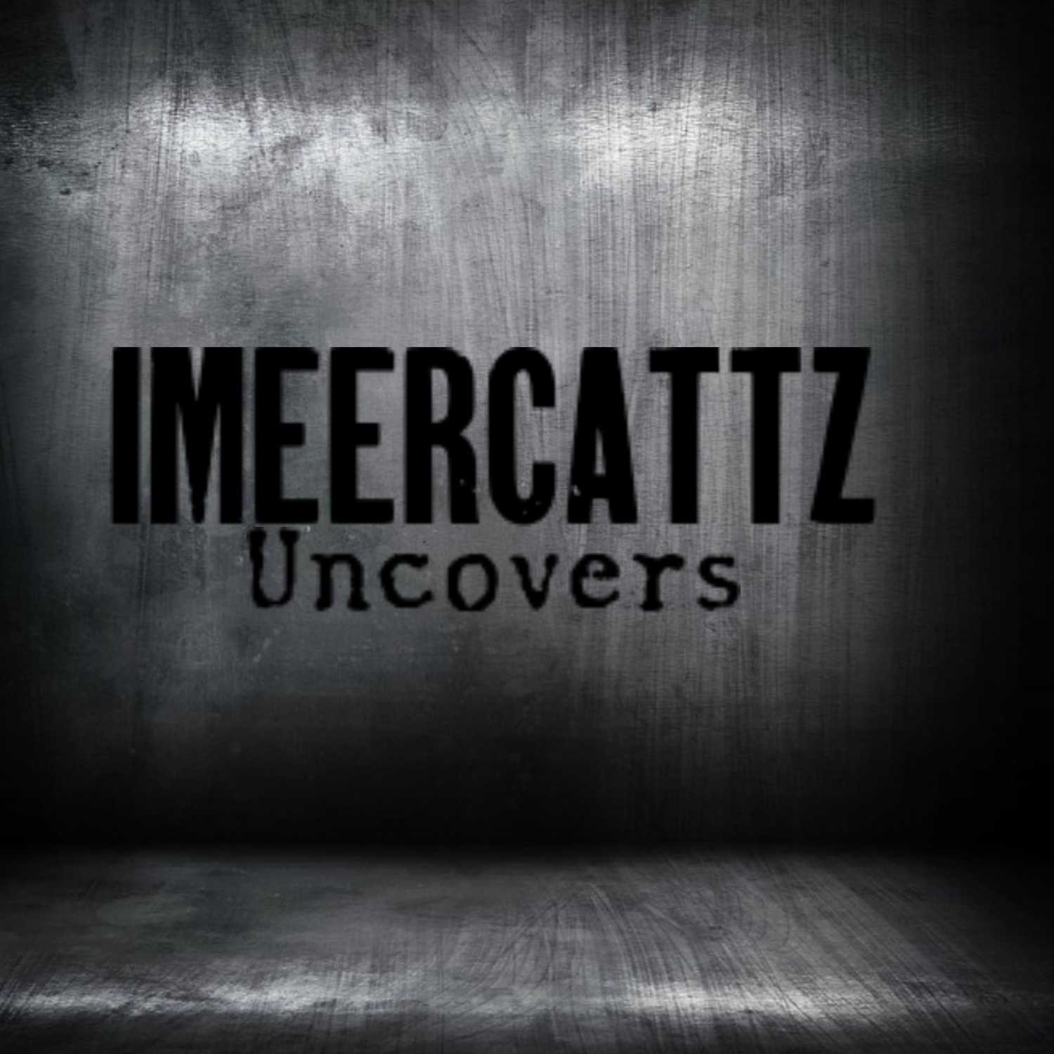 IMeeRCattz uncovers