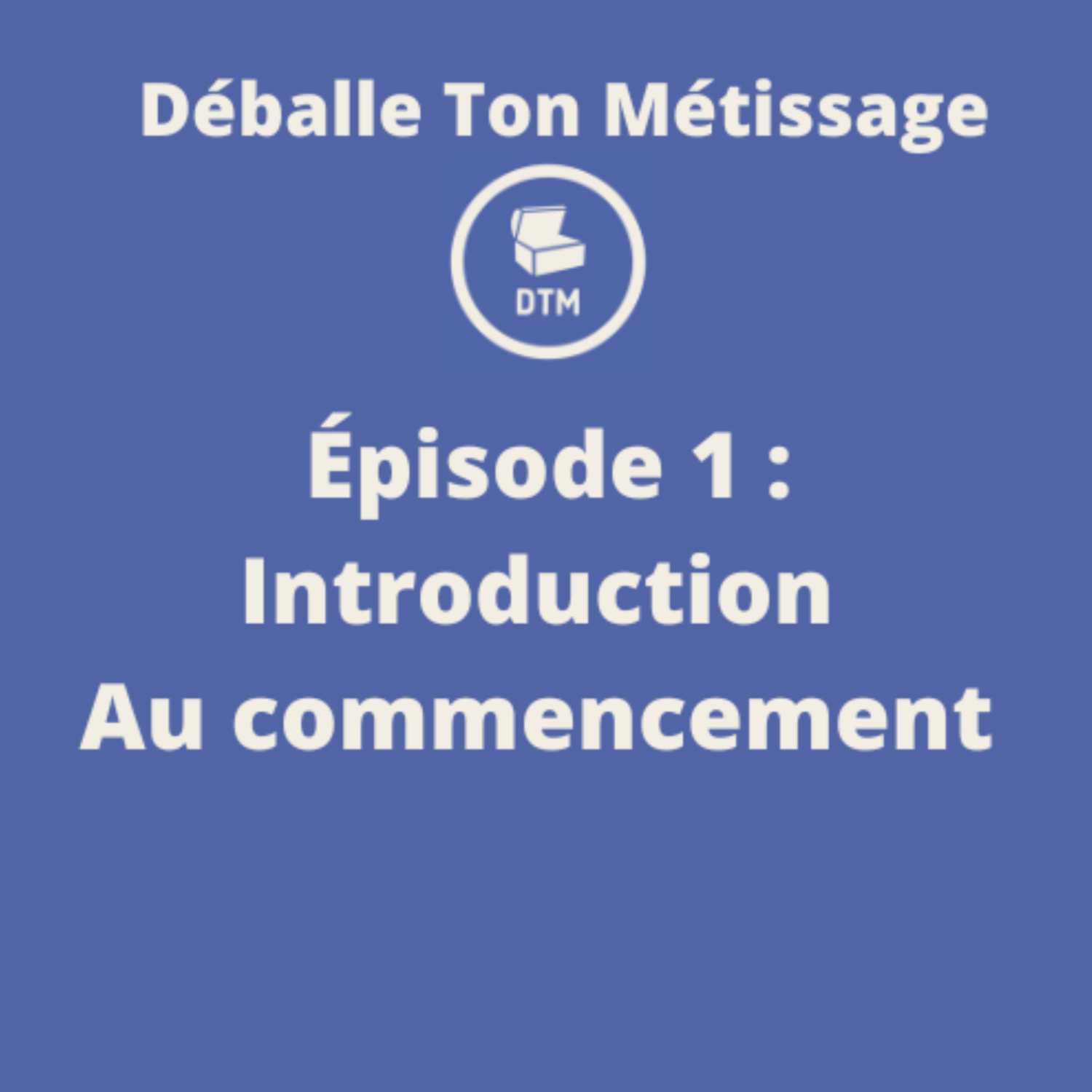 Déballe Ton Métissage