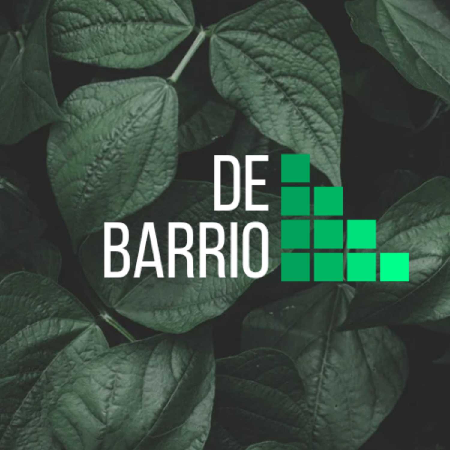De Barrio