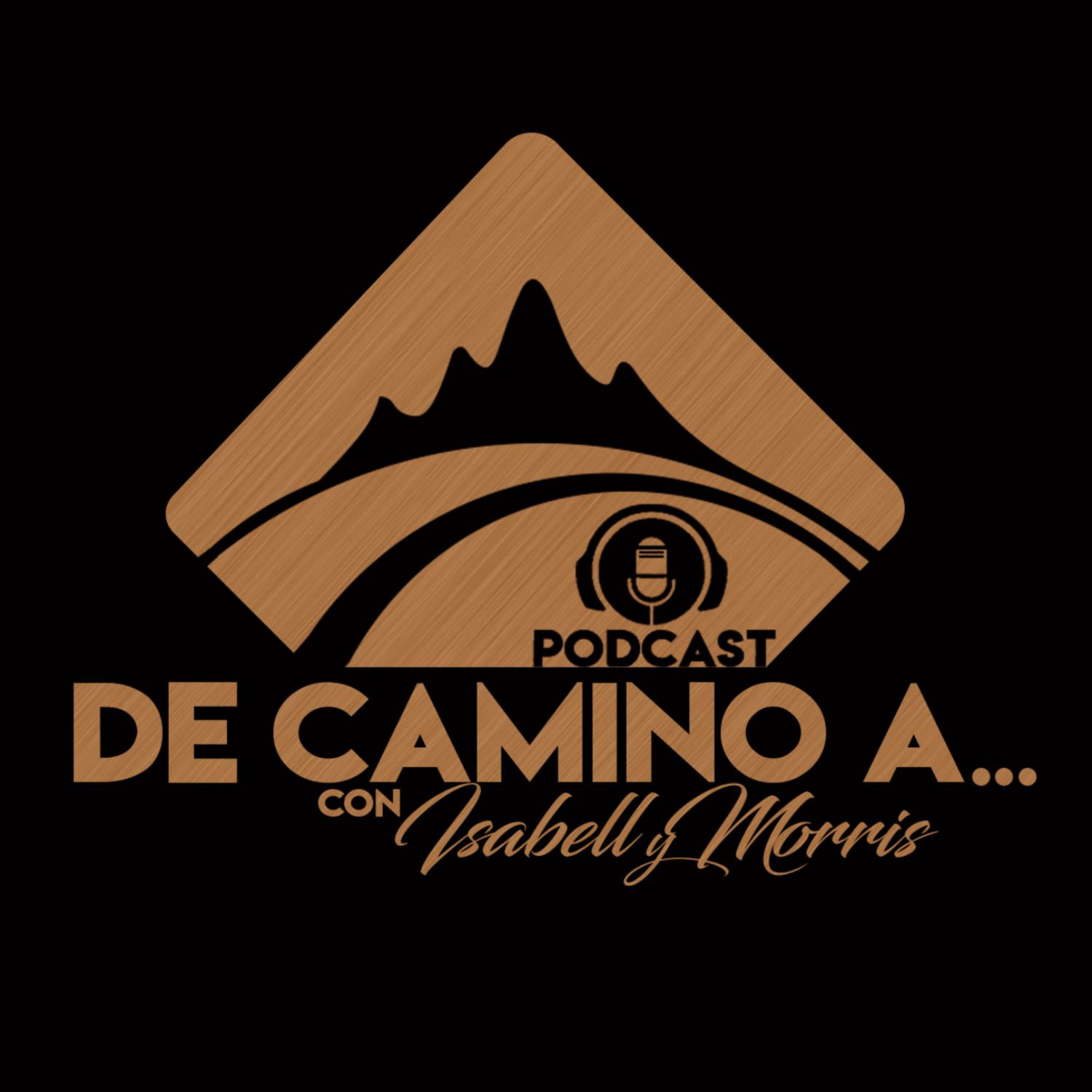 DE CAMINO AA..