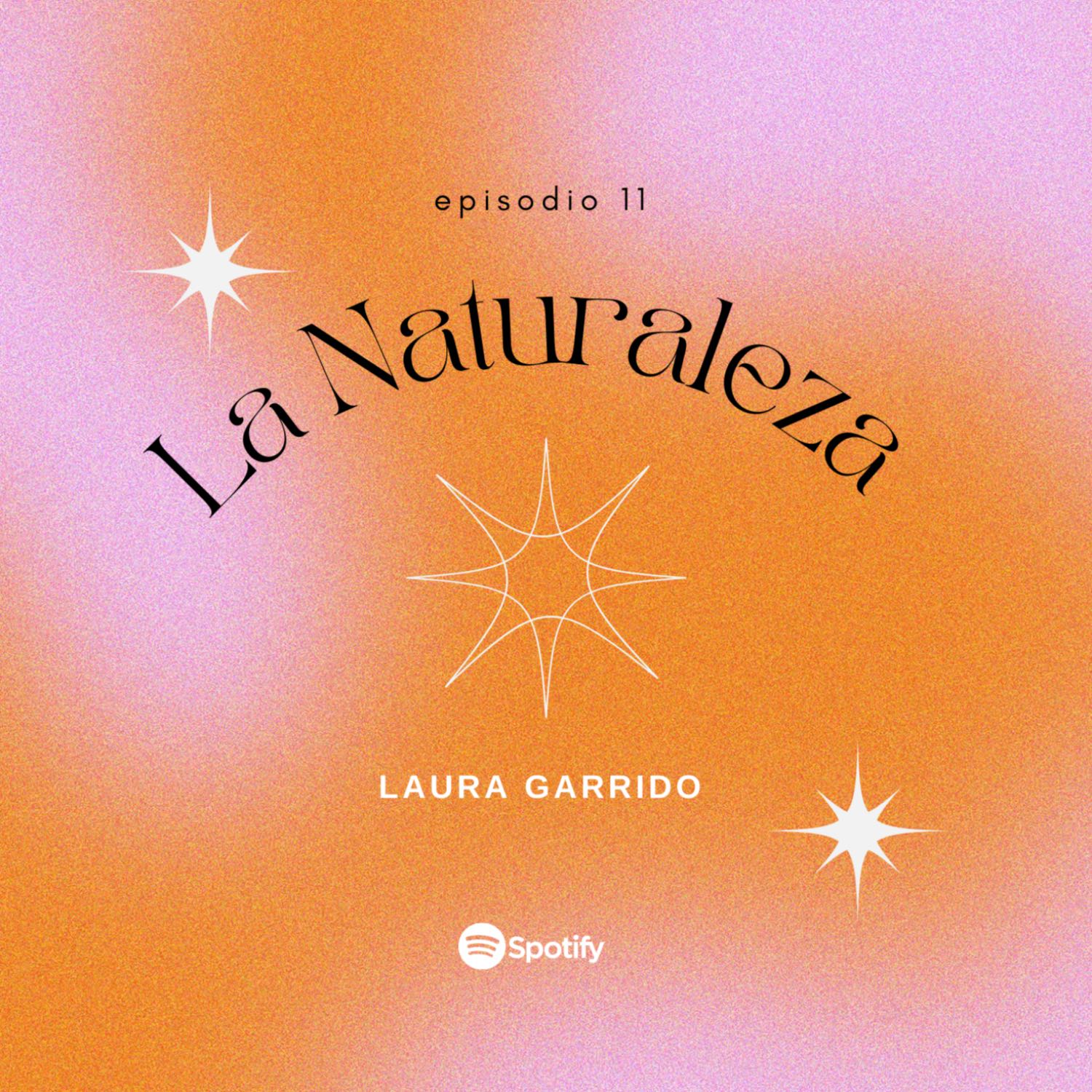 El Diario de Laura
