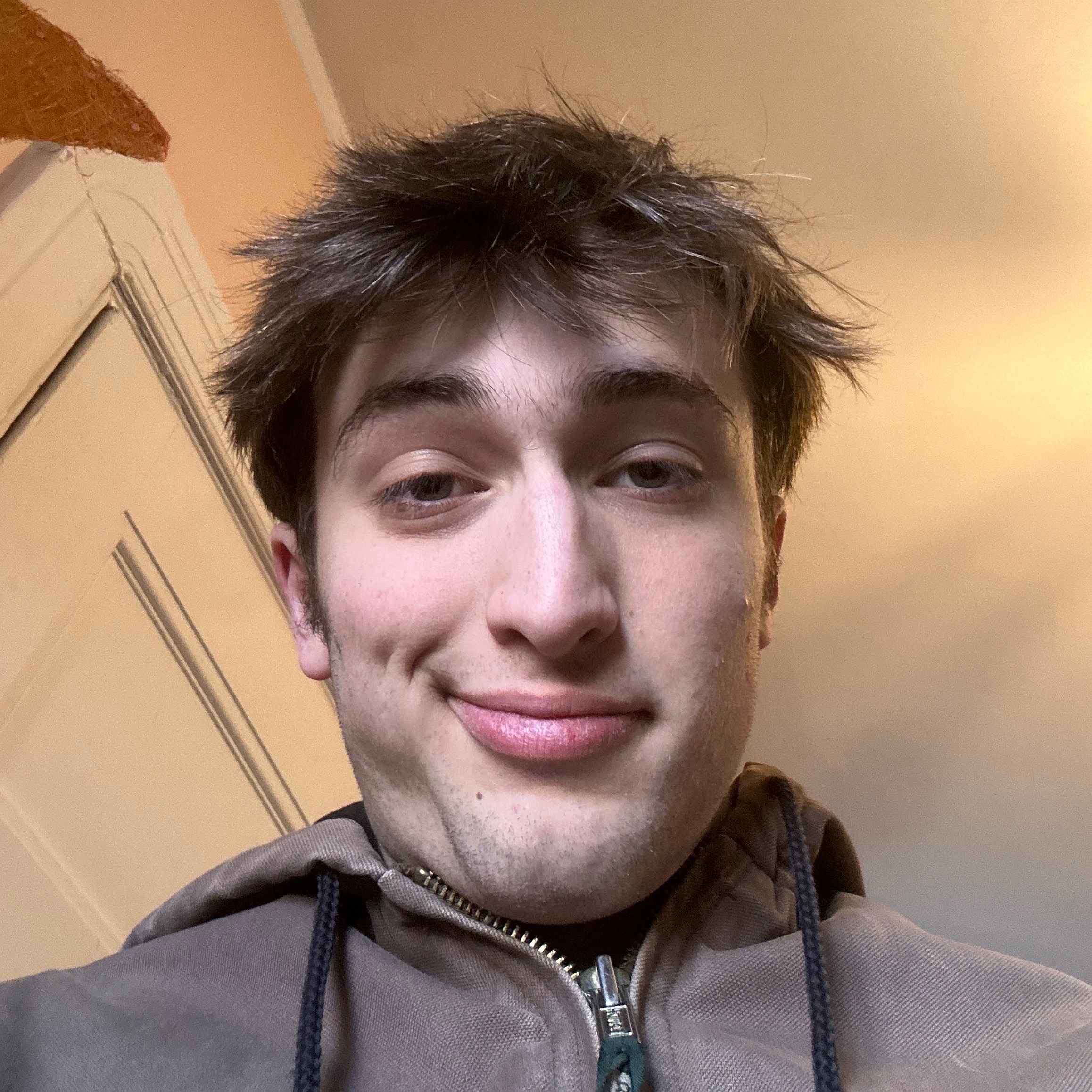 dehydrating apples cover art