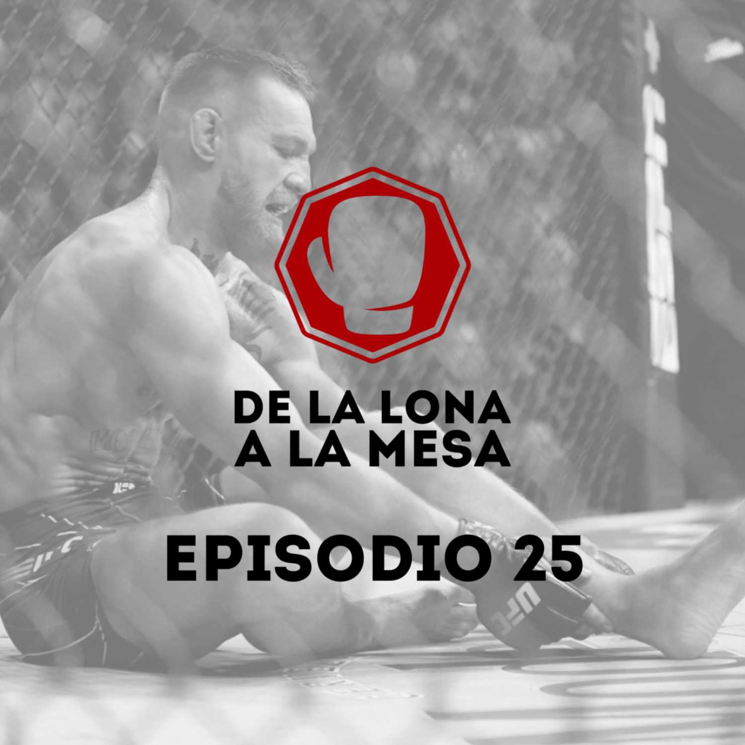 De la Lona a la Mesa