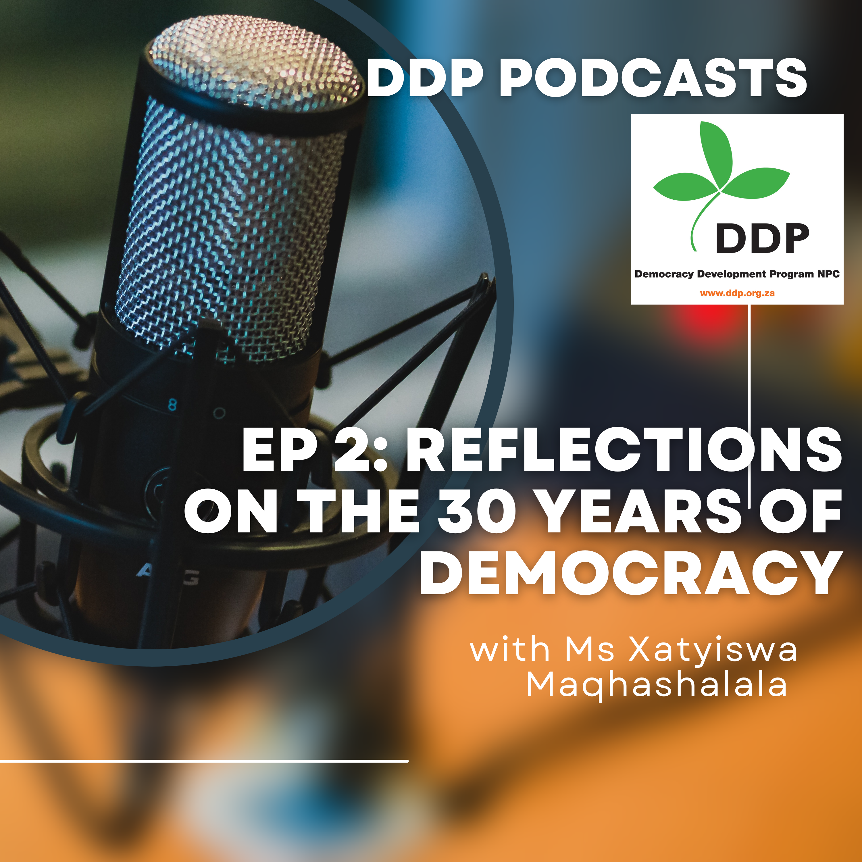 30 years of democracy : Reflections on leadership, youth participation in politics and education in South Africa episode artwork