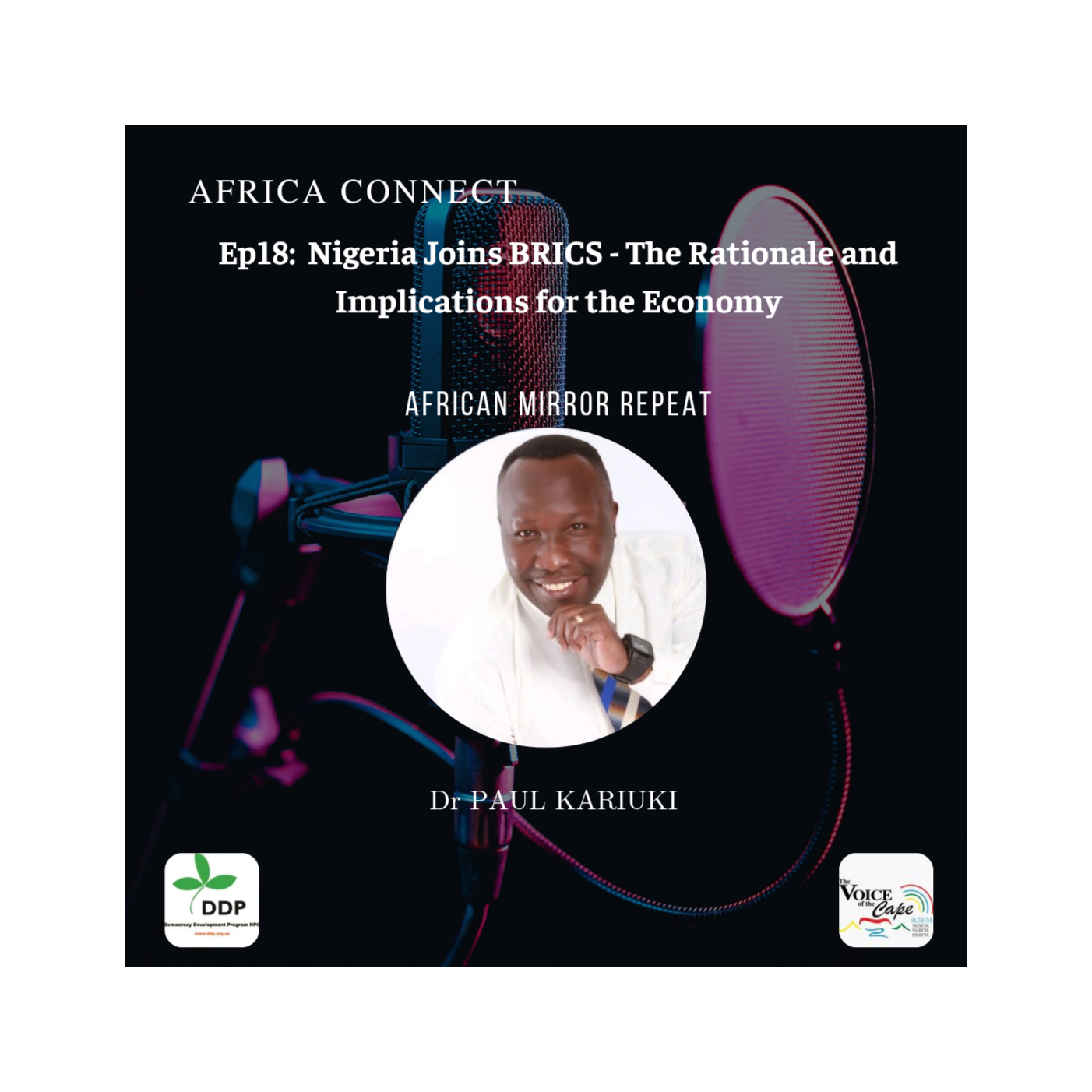 Africa Connect: Nigeria Joins BRICS - The Rationale and Implications for the Economy episode artwork
