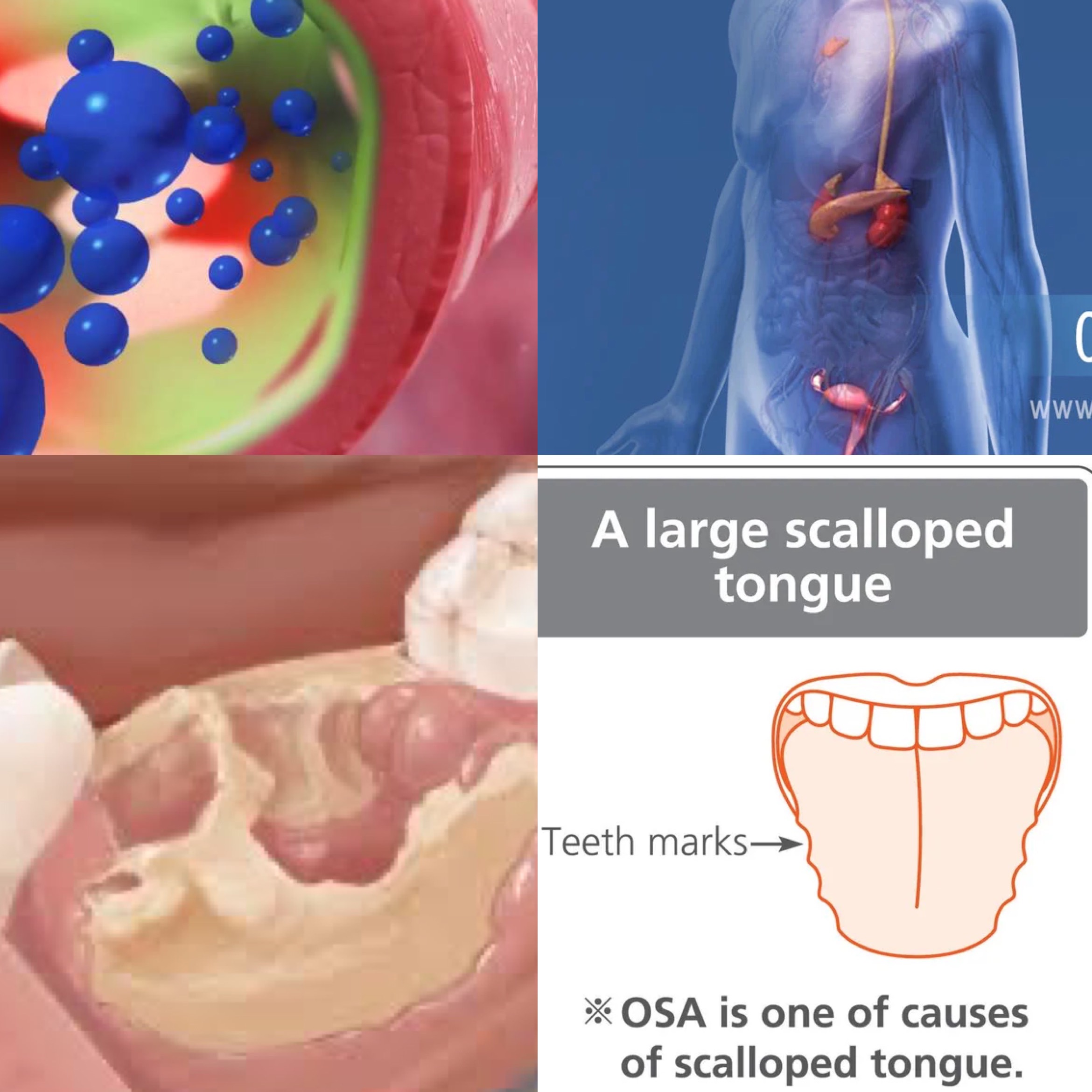 Oral Medicine episode artwork